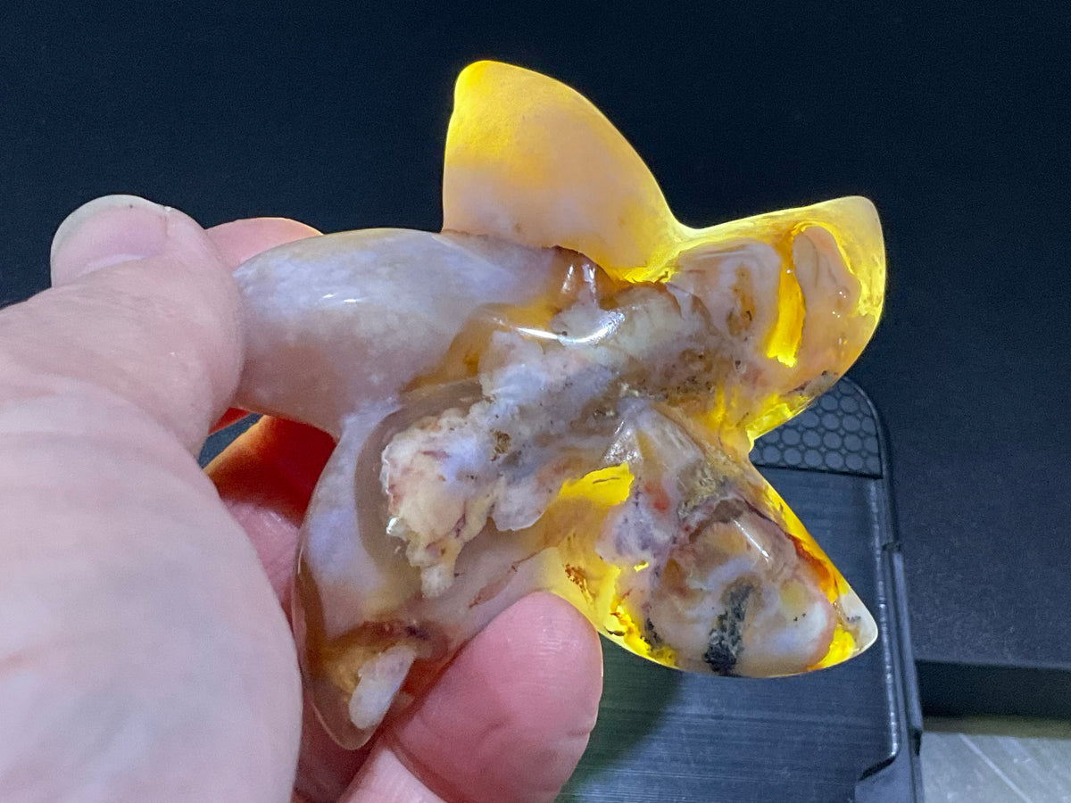 100g Flower Agate Starfish Palmstone 3C