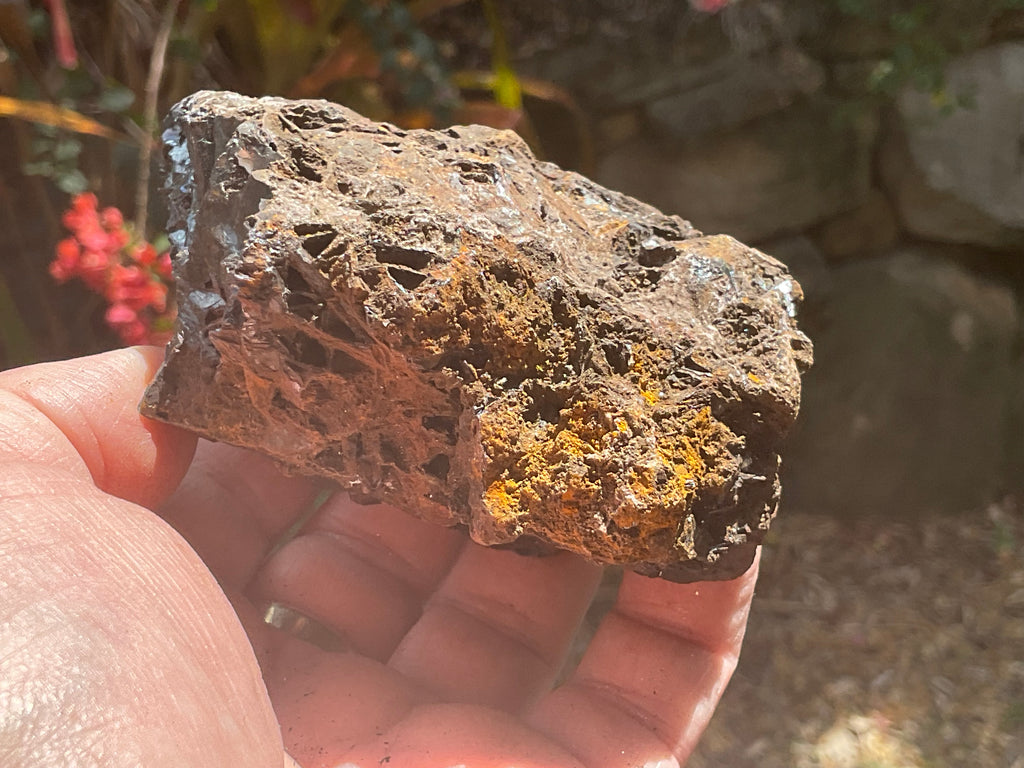 525g Reticulated Hematite Specimen 3A