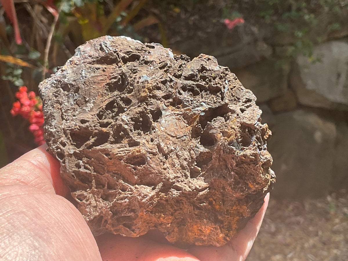 525g Reticulated Hematite Specimen 3A