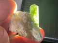 16g Diopside Crystal Specimen 3B from Yinnietharra, Australia