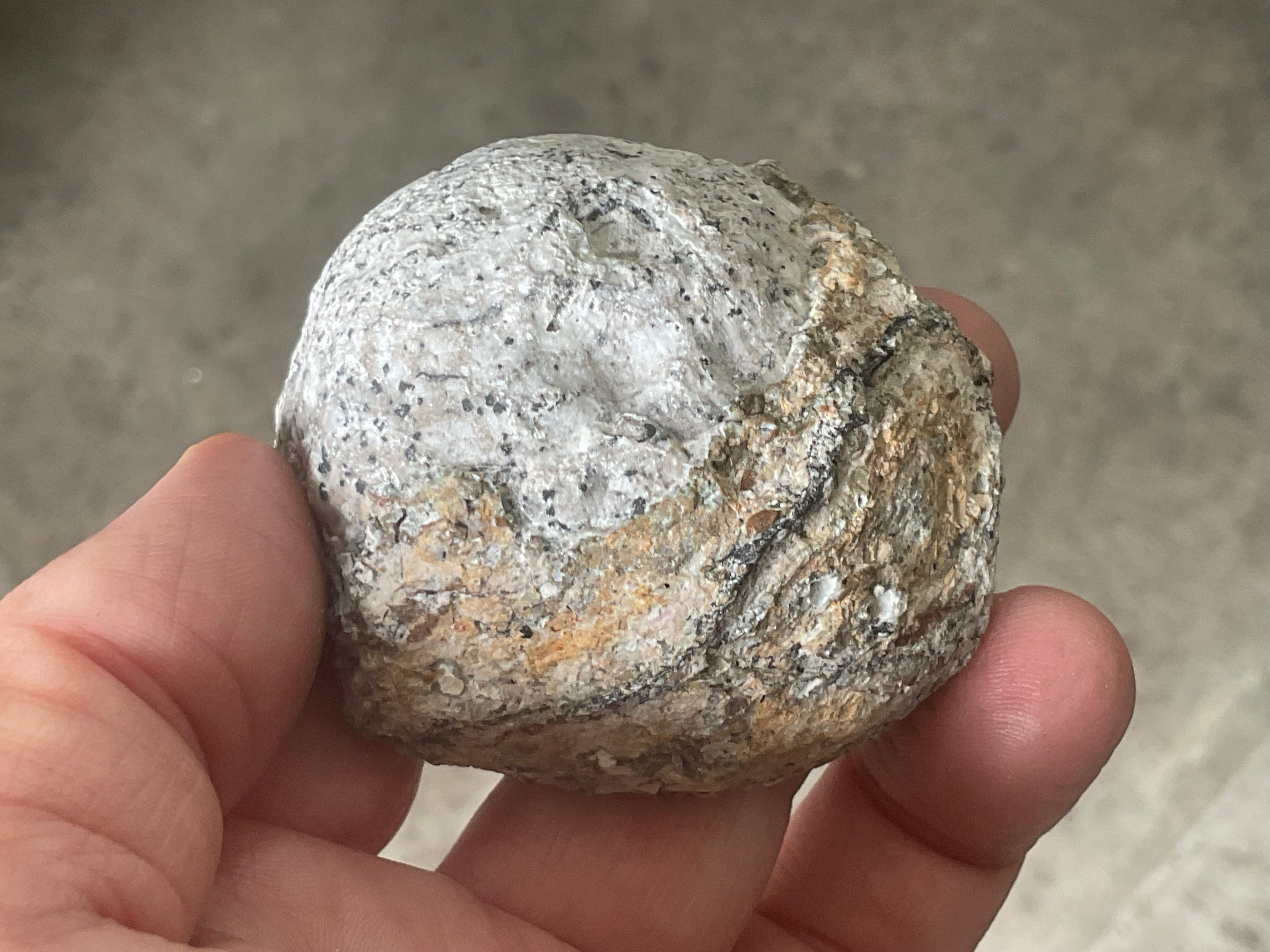 106g Mexican Geode Half 1A
