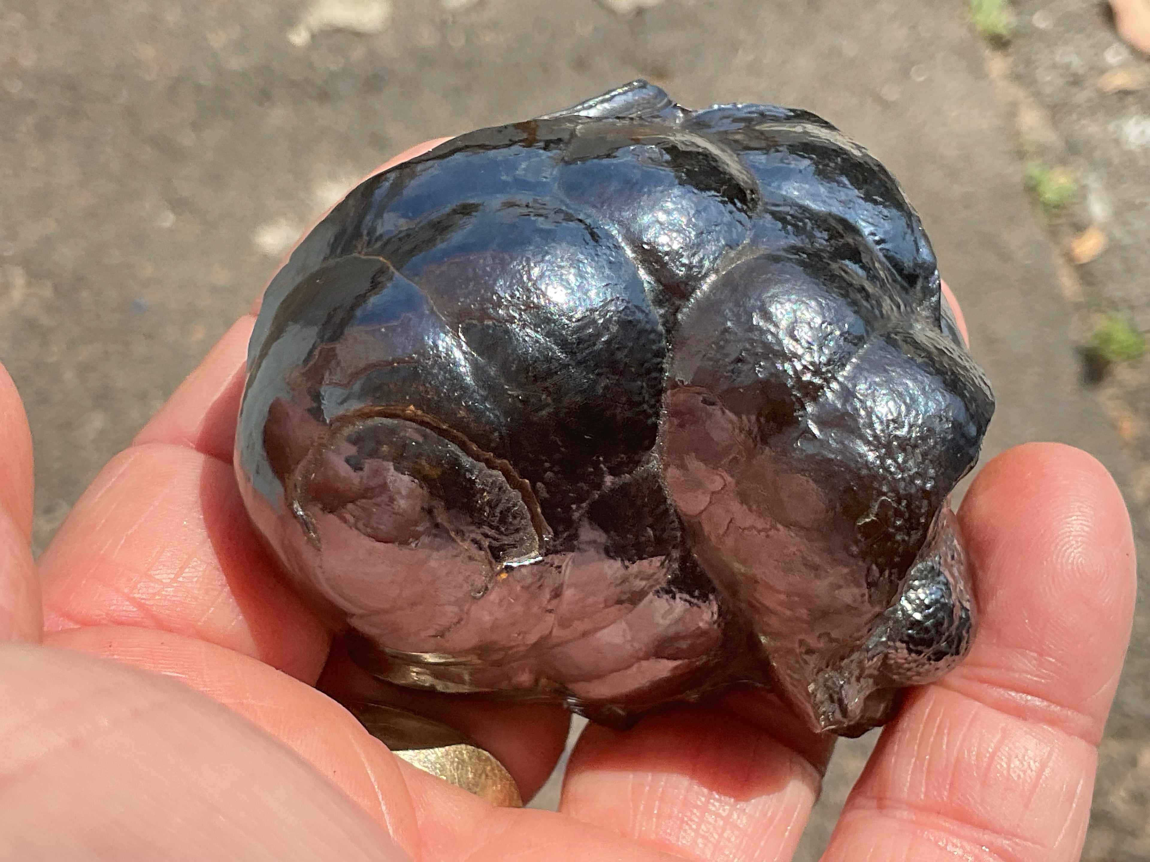 238g Botryoidal Hematite Specimen 4A