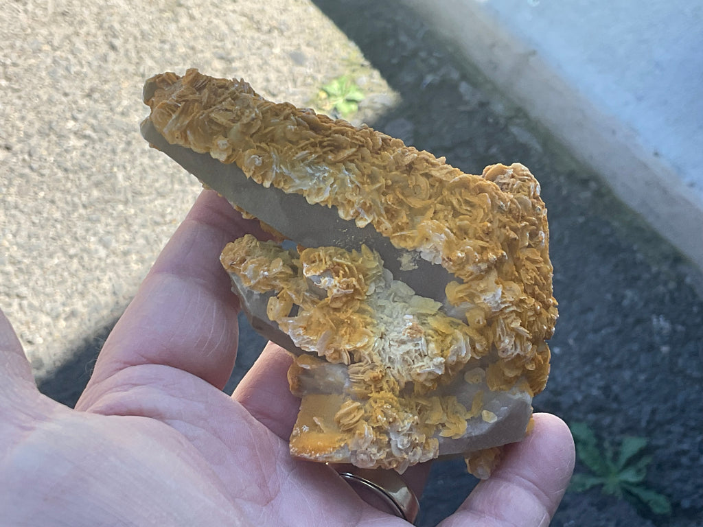 294g Yellow Petal Calcite on Quartz Points Specimen C
