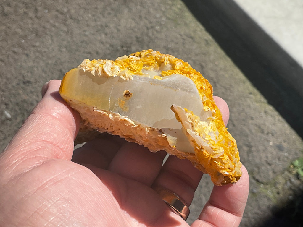 294g Yellow Petal Calcite on Quartz Points Specimen C