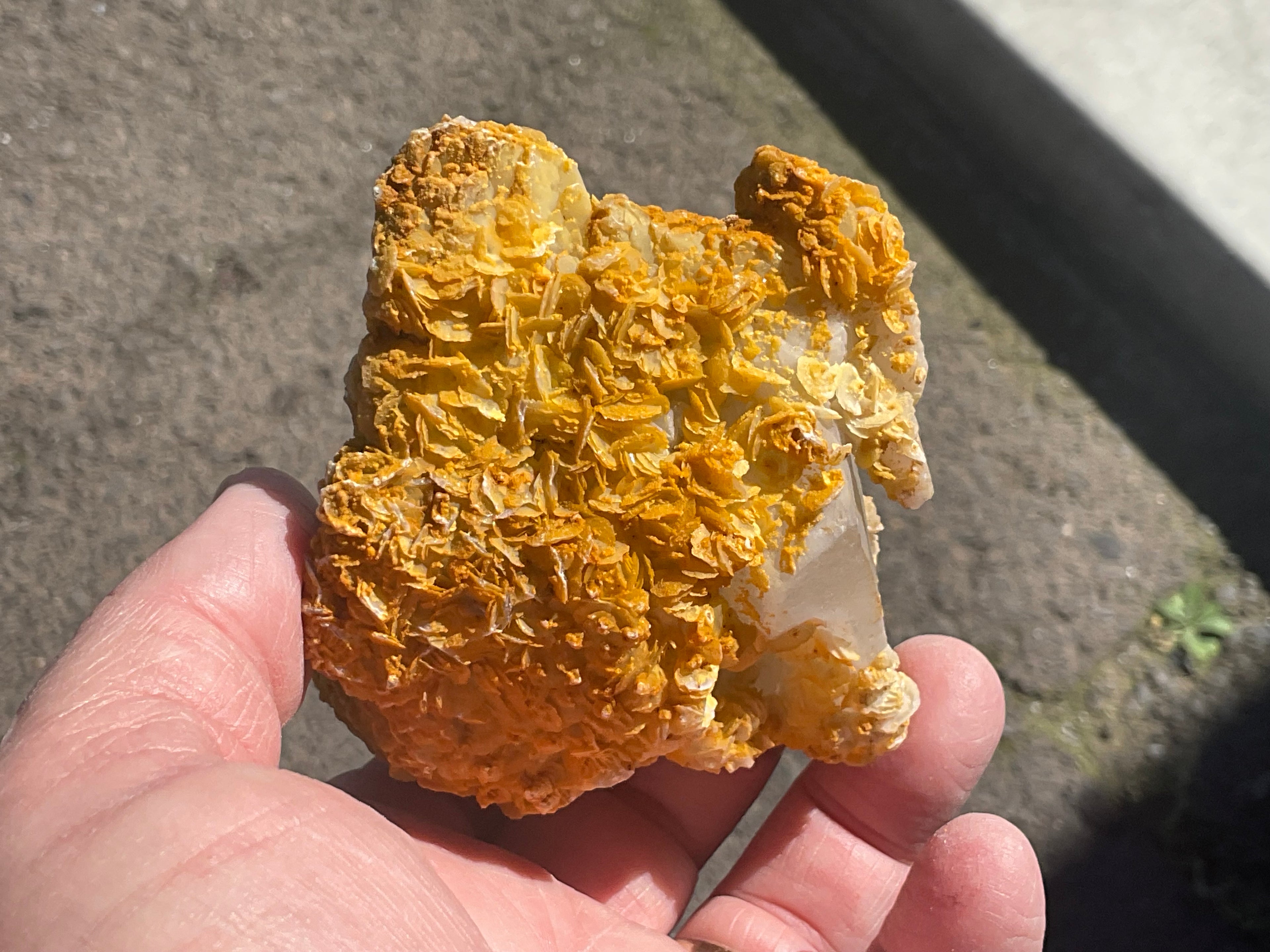 294g Yellow Petal Calcite on Quartz Points Specimen C