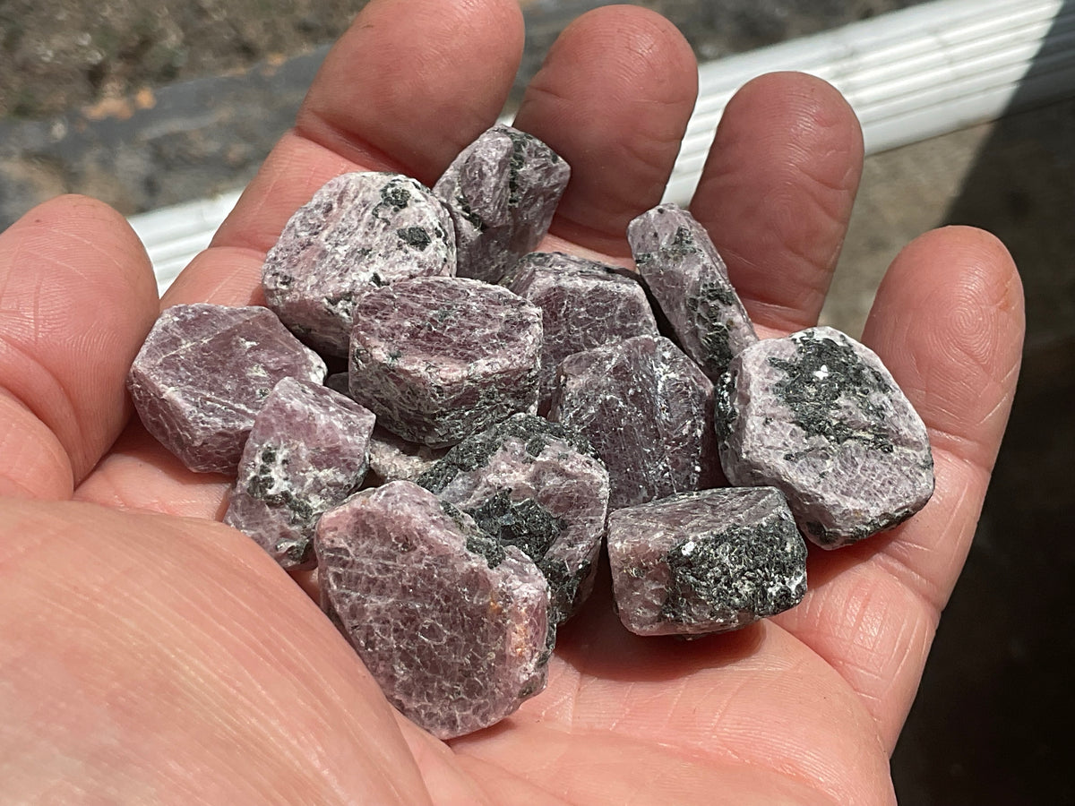 1 piece Small Corundum (Ruby) Slices with partial “Record Keepers”