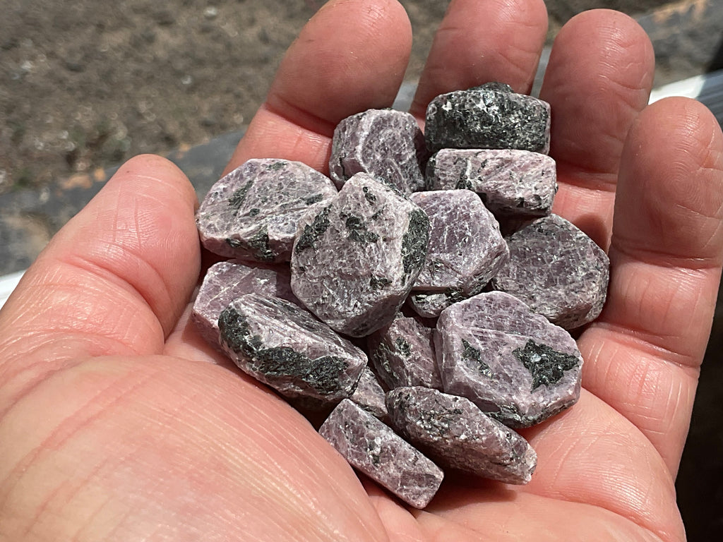1 piece Small Corundum (Ruby) Slices with partial “Record Keepers”