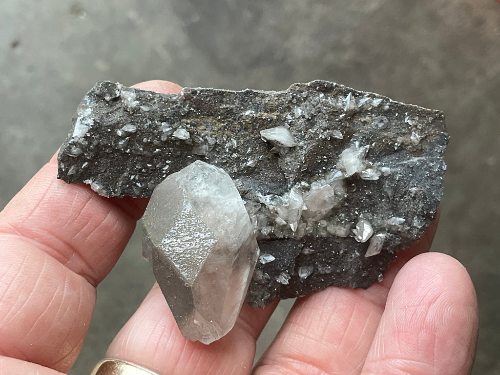 40g Large Dog Tooth Calcite on Pyrite/Chalcedony on Druzy Quartz Matrix Specimen 2A from Fujian China