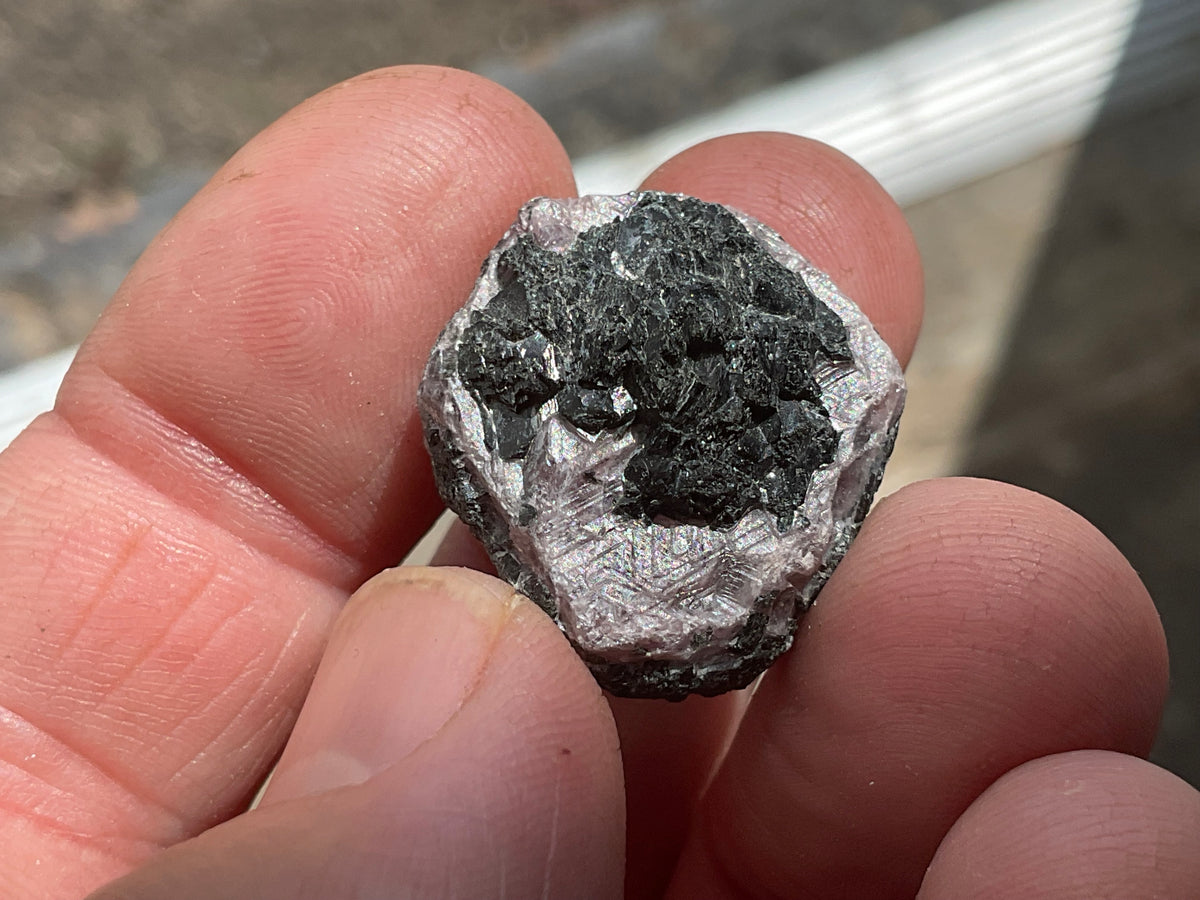 1 piece Small Corundum (Ruby) Slices with partial “Record Keepers”