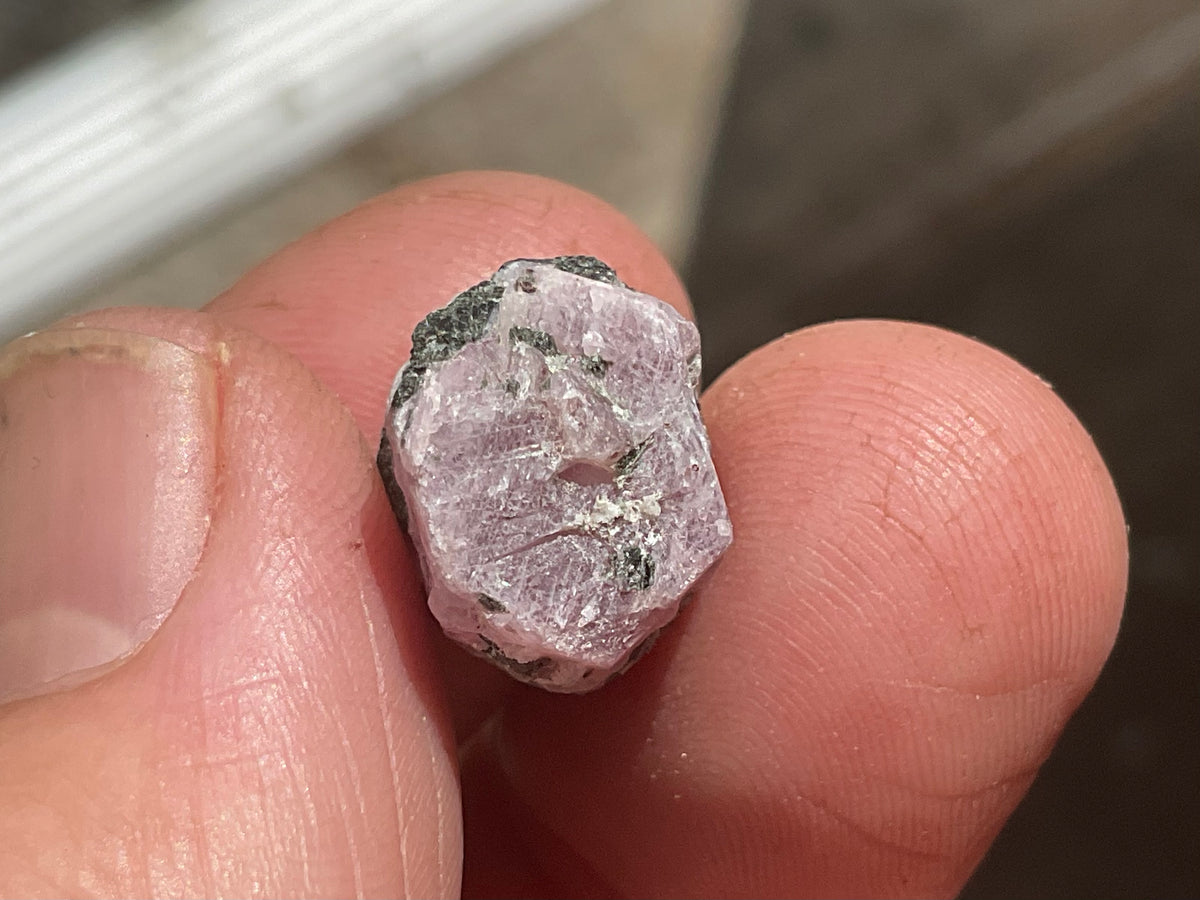 1 piece Small Corundum (Ruby) Slices with partial “Record Keepers”
