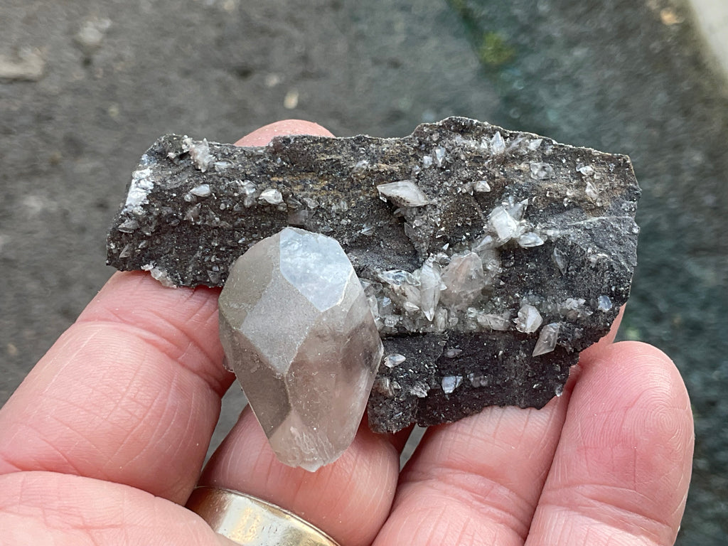 40g Large Dog Tooth Calcite on Pyrite/Chalcedony on Druzy Quartz Matrix Specimen 2A from Fujian China