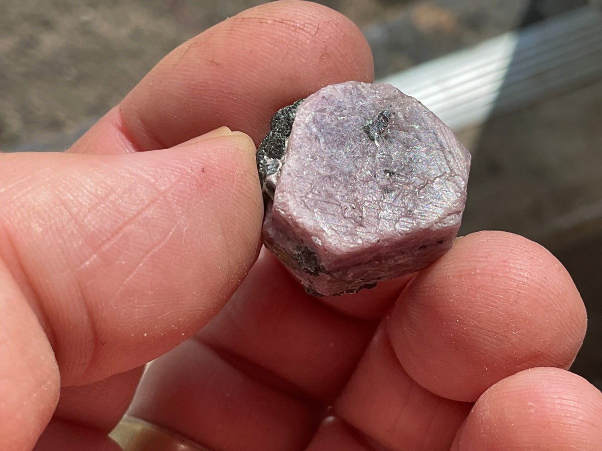 1 piece Medium Corundum (Ruby) Slices with partial “Record Keepers”
