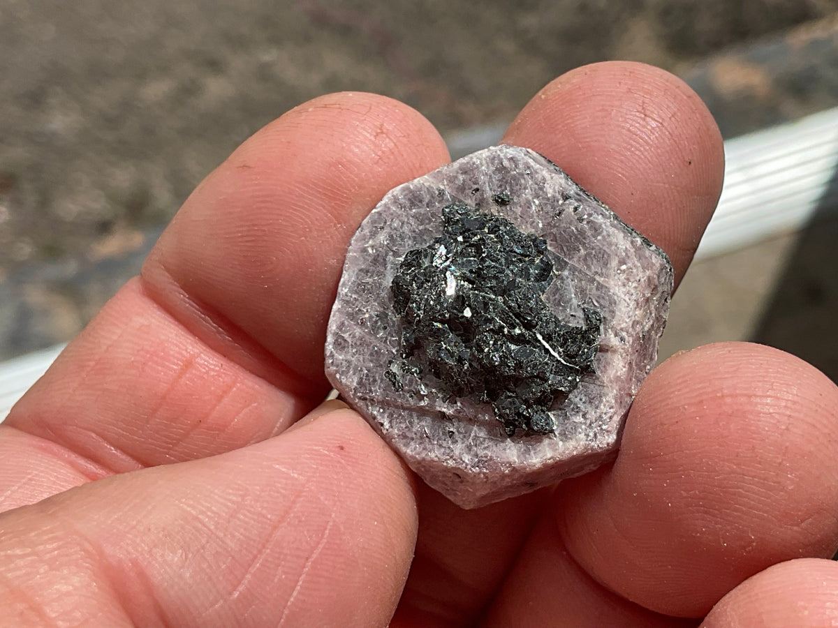 1 piece Medium Corundum (Ruby) Slices with partial “Record Keepers”