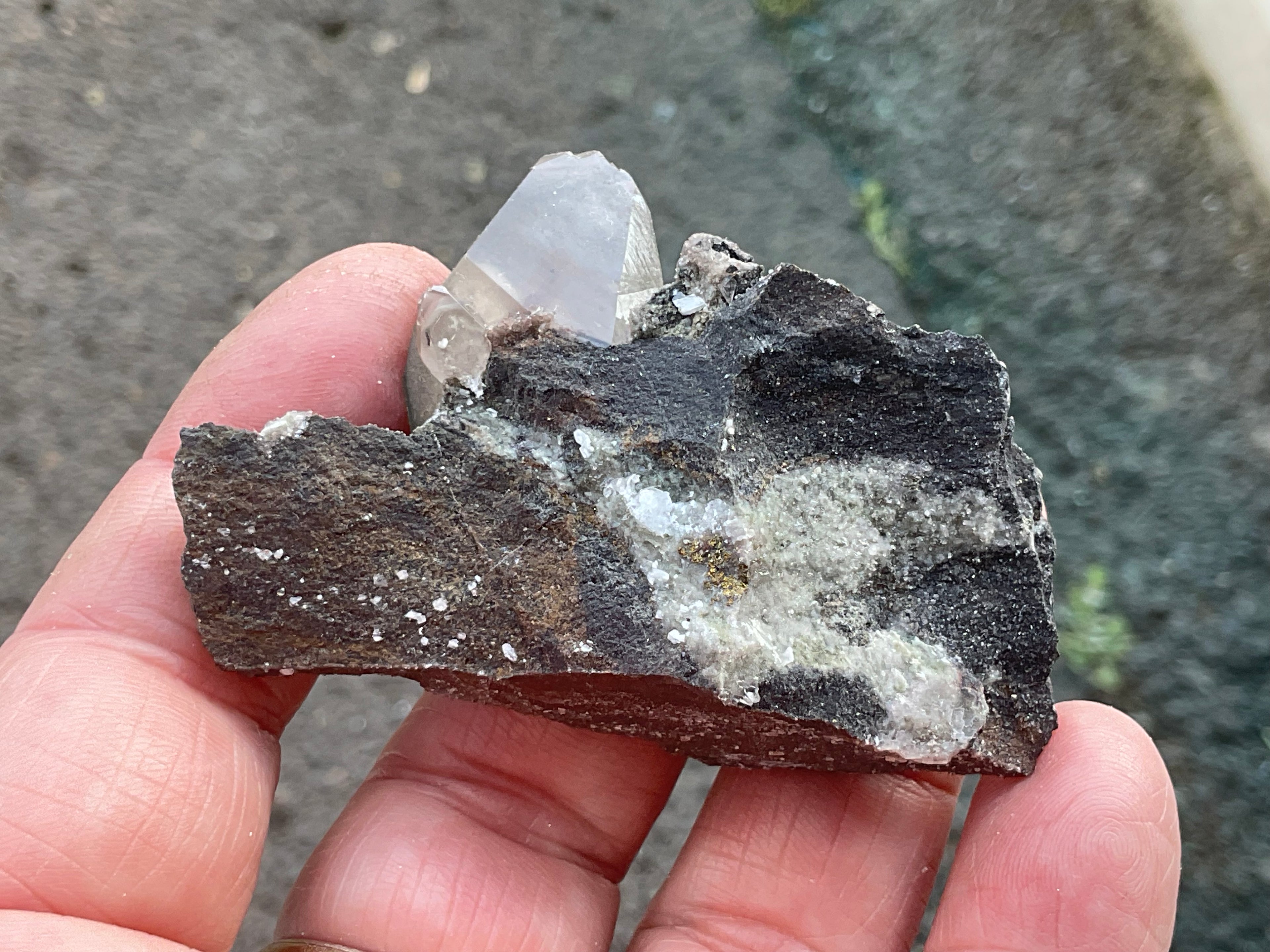 40g Large Dog Tooth Calcite on Pyrite/Chalcedony on Druzy Quartz Matrix Specimen 2A from Fujian China