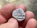 Small Corundum (Ruby) Slices with clear “Record Keepers”