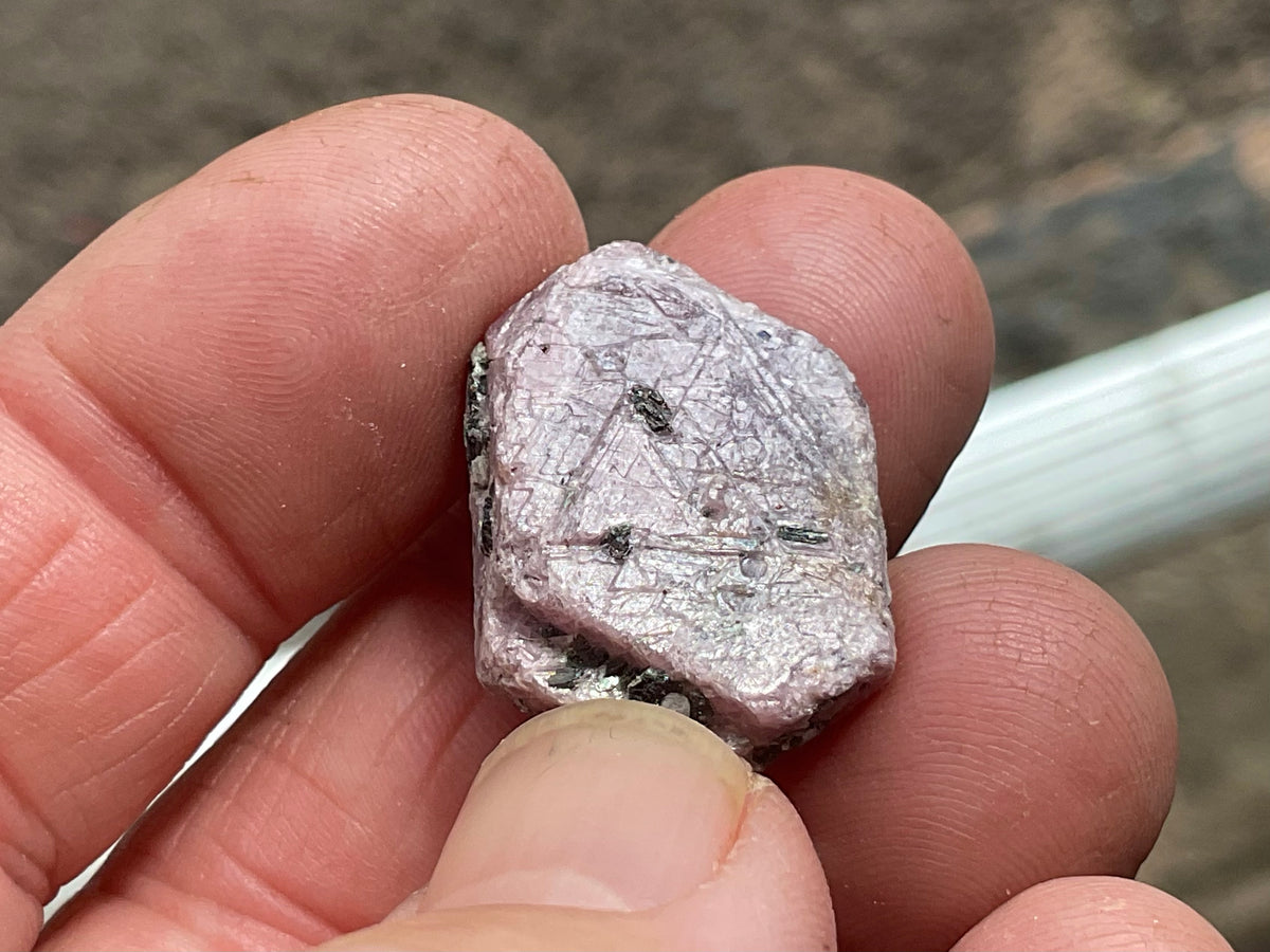 Small Corundum (Ruby) Slices with clear “Record Keepers”