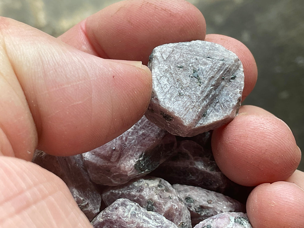 Small Corundum (Ruby) Slices with clear “Record Keepers”