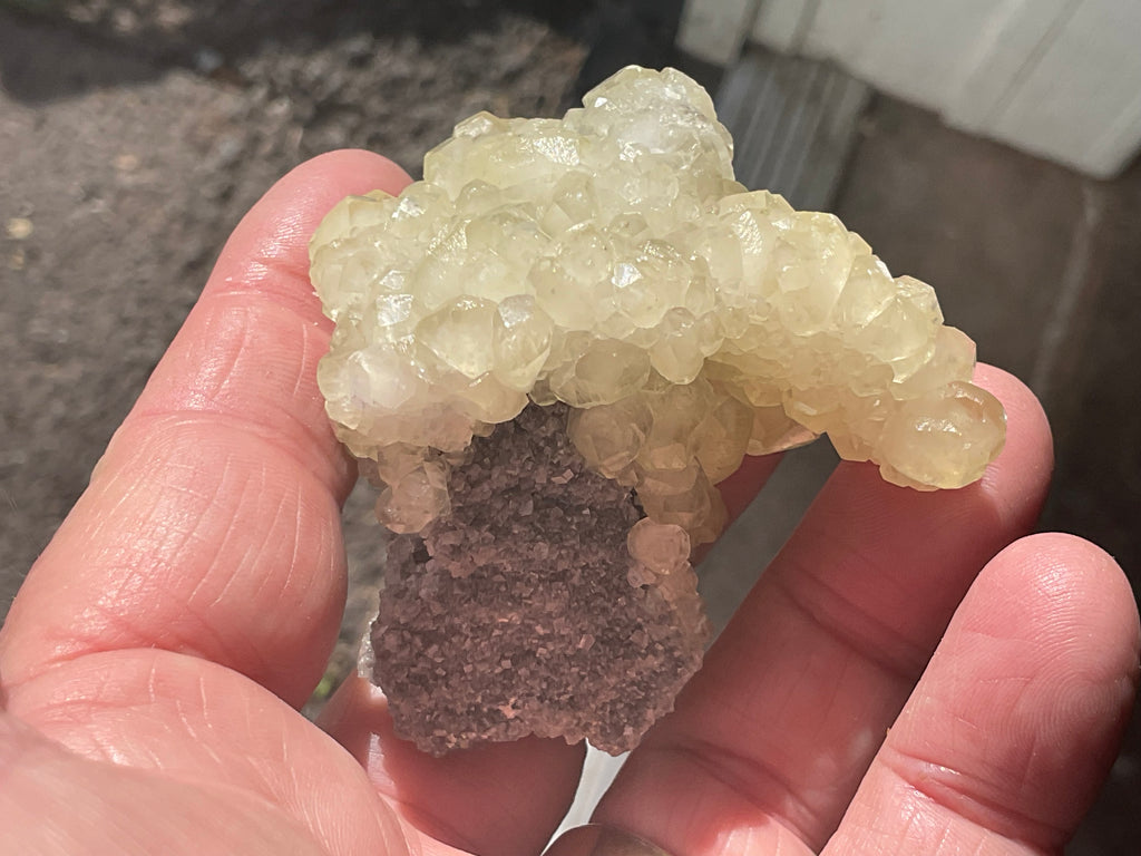 124g Yellow Botryoidal Calcite on Chalcedony on Druzy Quartz Specimen 2C from Guizhou, China