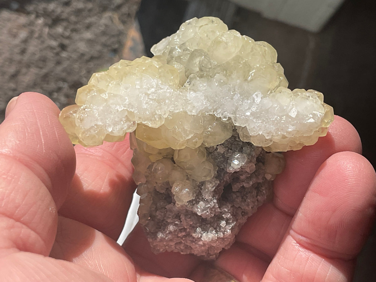 124g Yellow Botryoidal Calcite on Chalcedony on Druzy Quartz Specimen 2C from Guizhou, China
