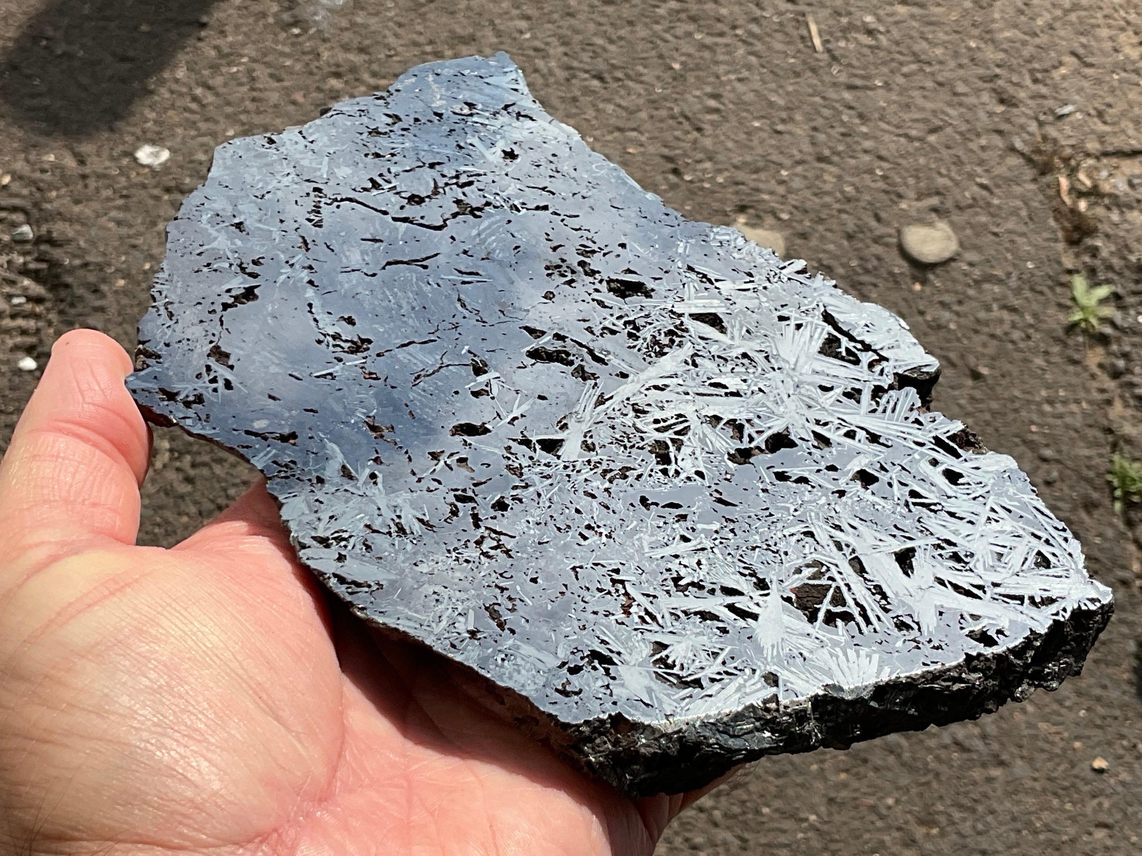 674g Polished Reticulated Hematite Slab B