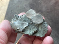 40g Large Dog Tooth Calcite on Pyrite/Chalcedony on Druzy Quartz Matrix Specimen 1C