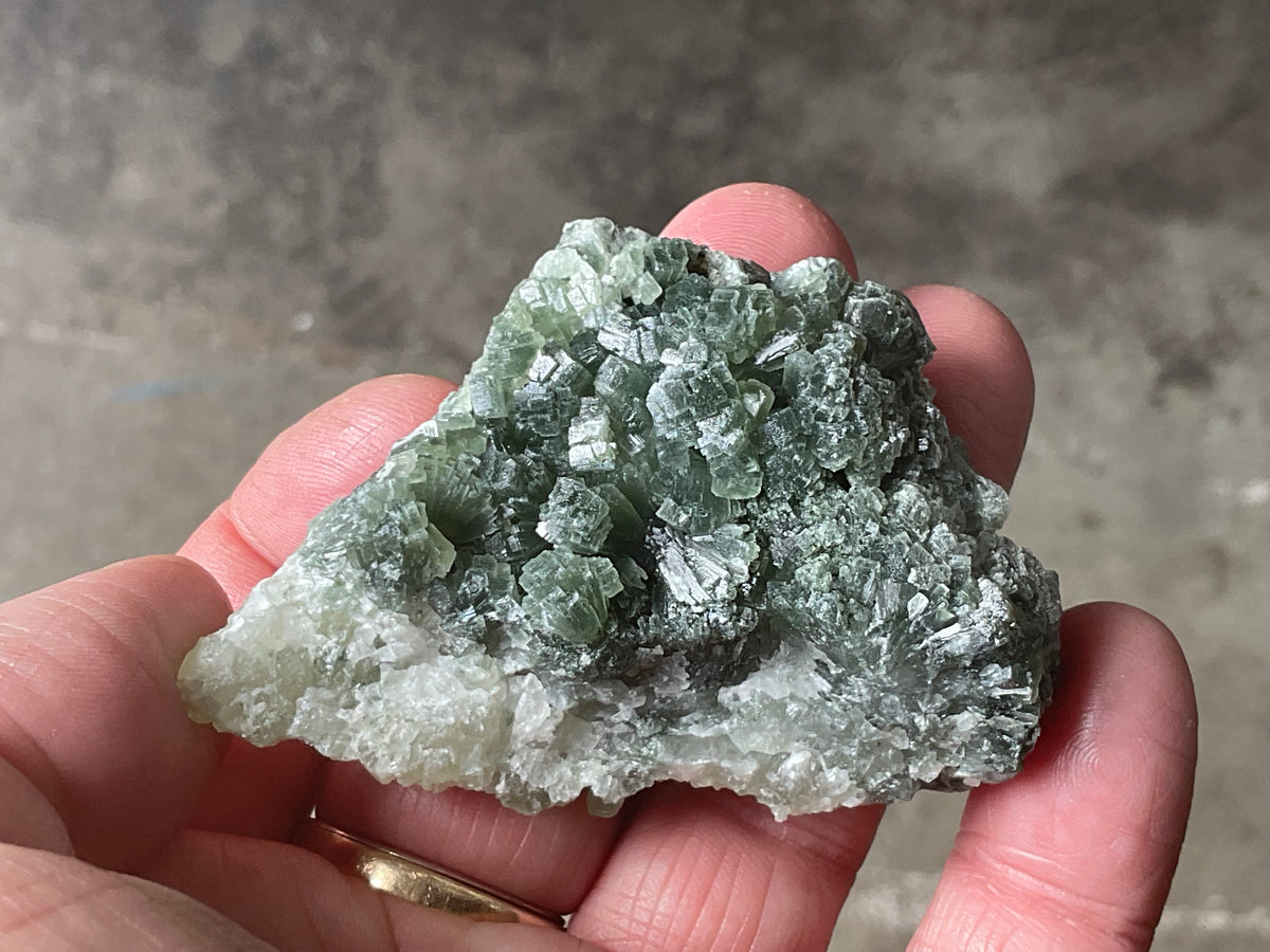 61g ‘Bowtie’ Epidote Specimen 2A