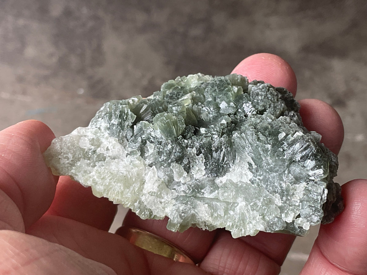 61g ‘Bowtie’ Epidote Specimen 2A