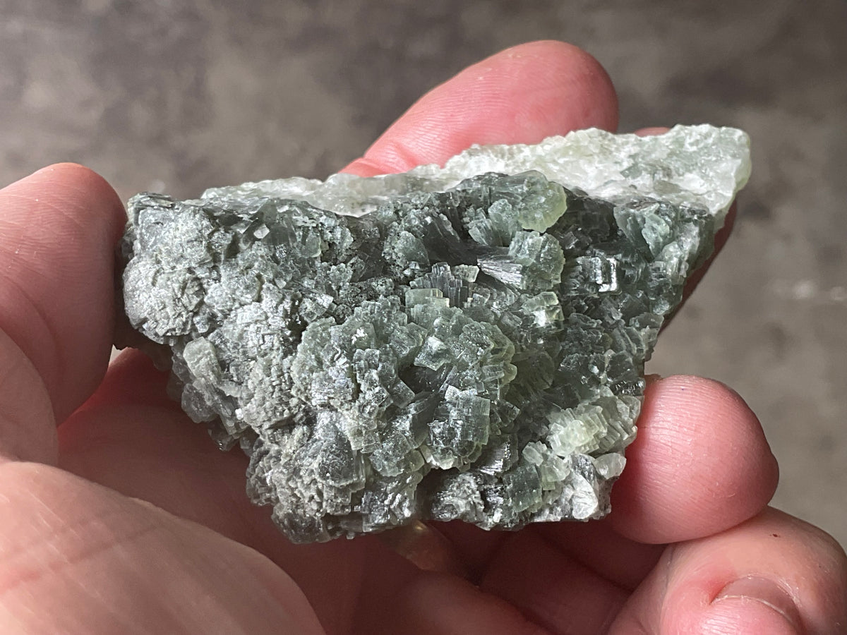 61g ‘Bowtie’ Epidote Specimen 2A