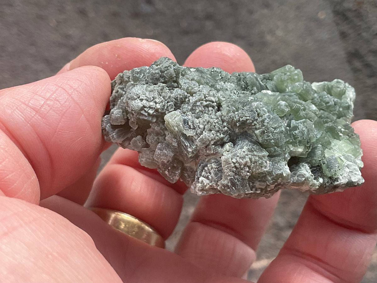 61g ‘Bowtie’ Epidote Specimen 2A
