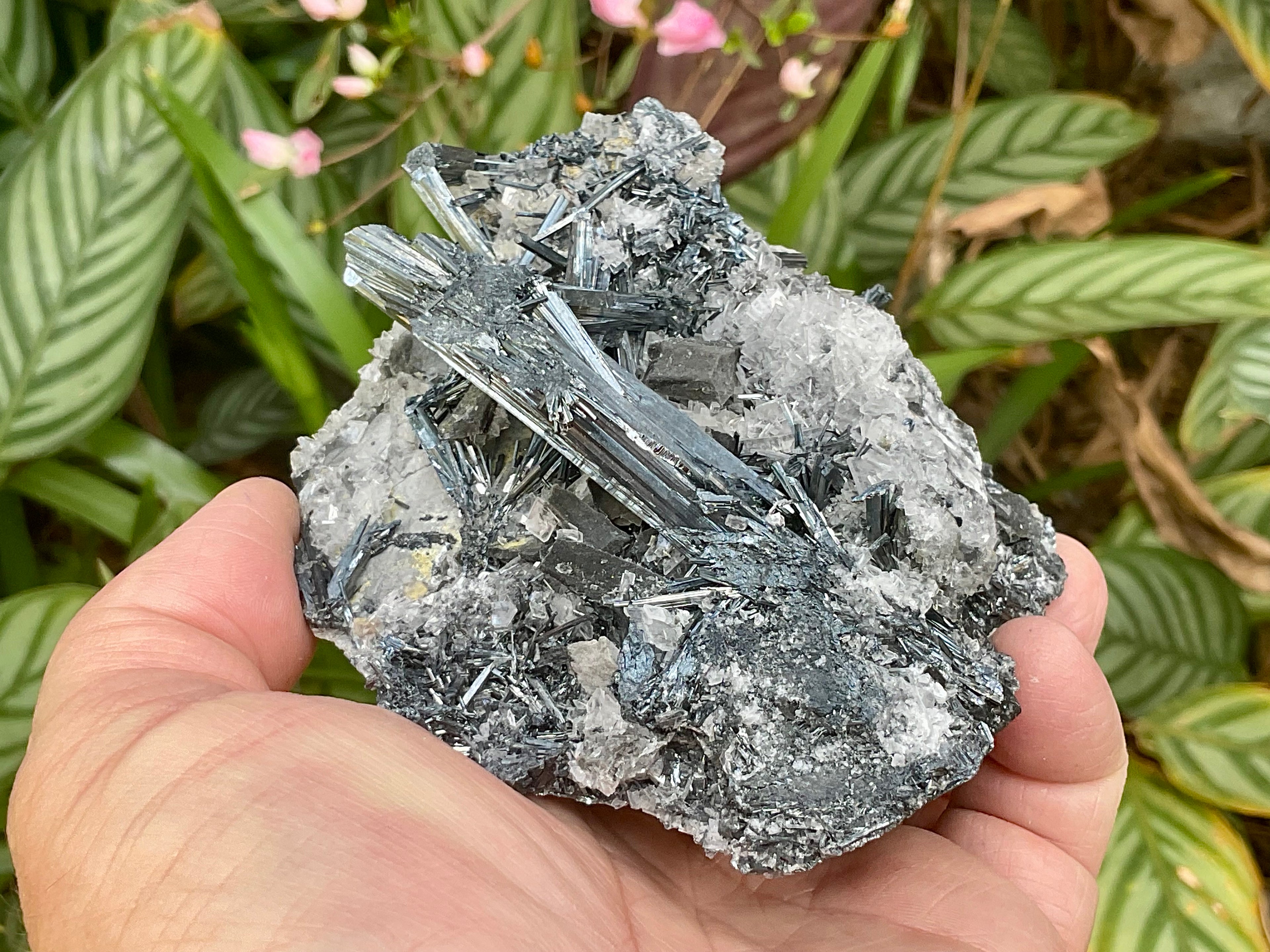 576g Stibnite with White Baryte Specimen
