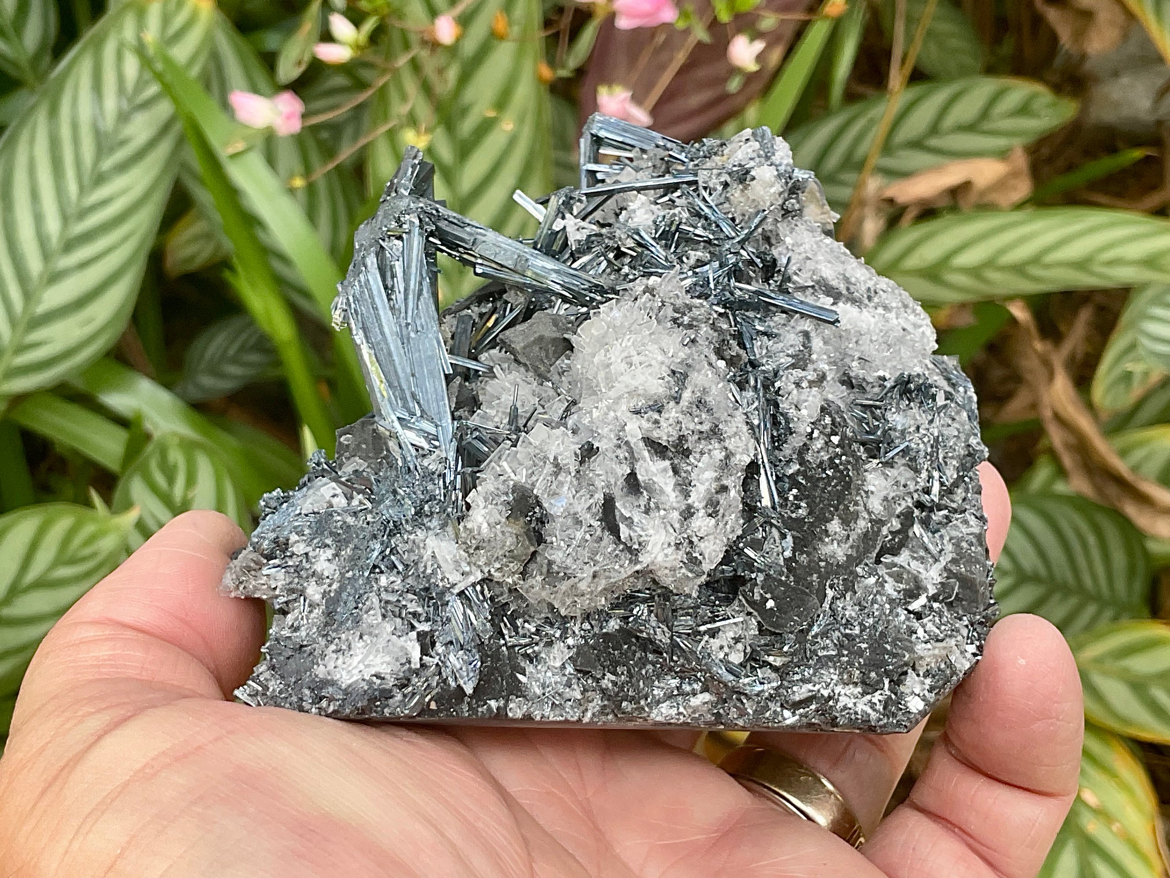 576g Stibnite with White Baryte Specimen