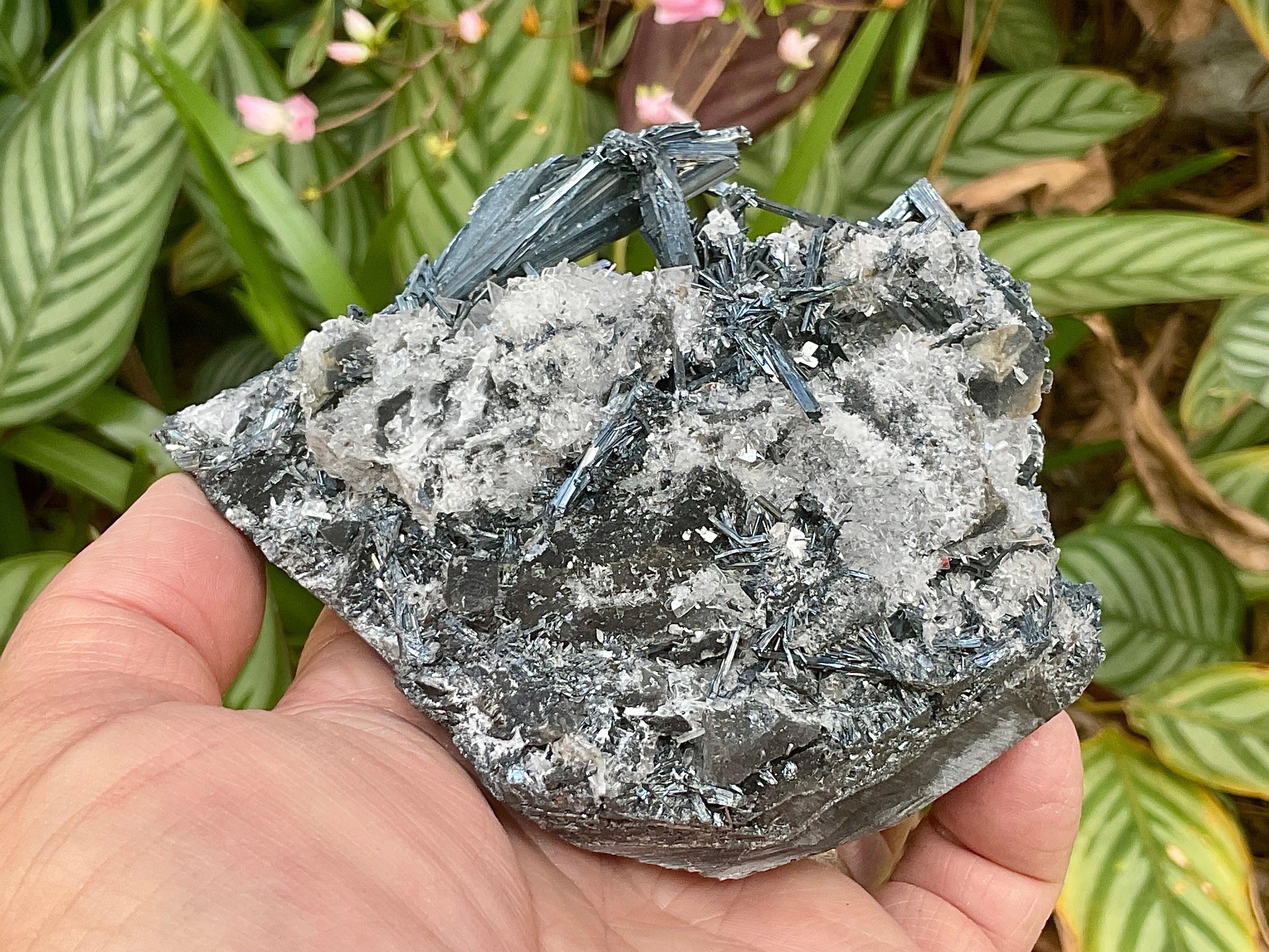 576g Stibnite with White Baryte Specimen