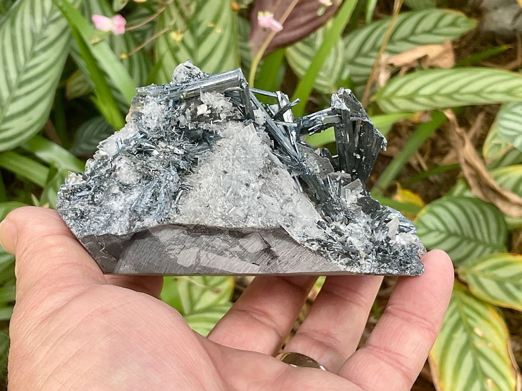 576g Stibnite with White Baryte Specimen