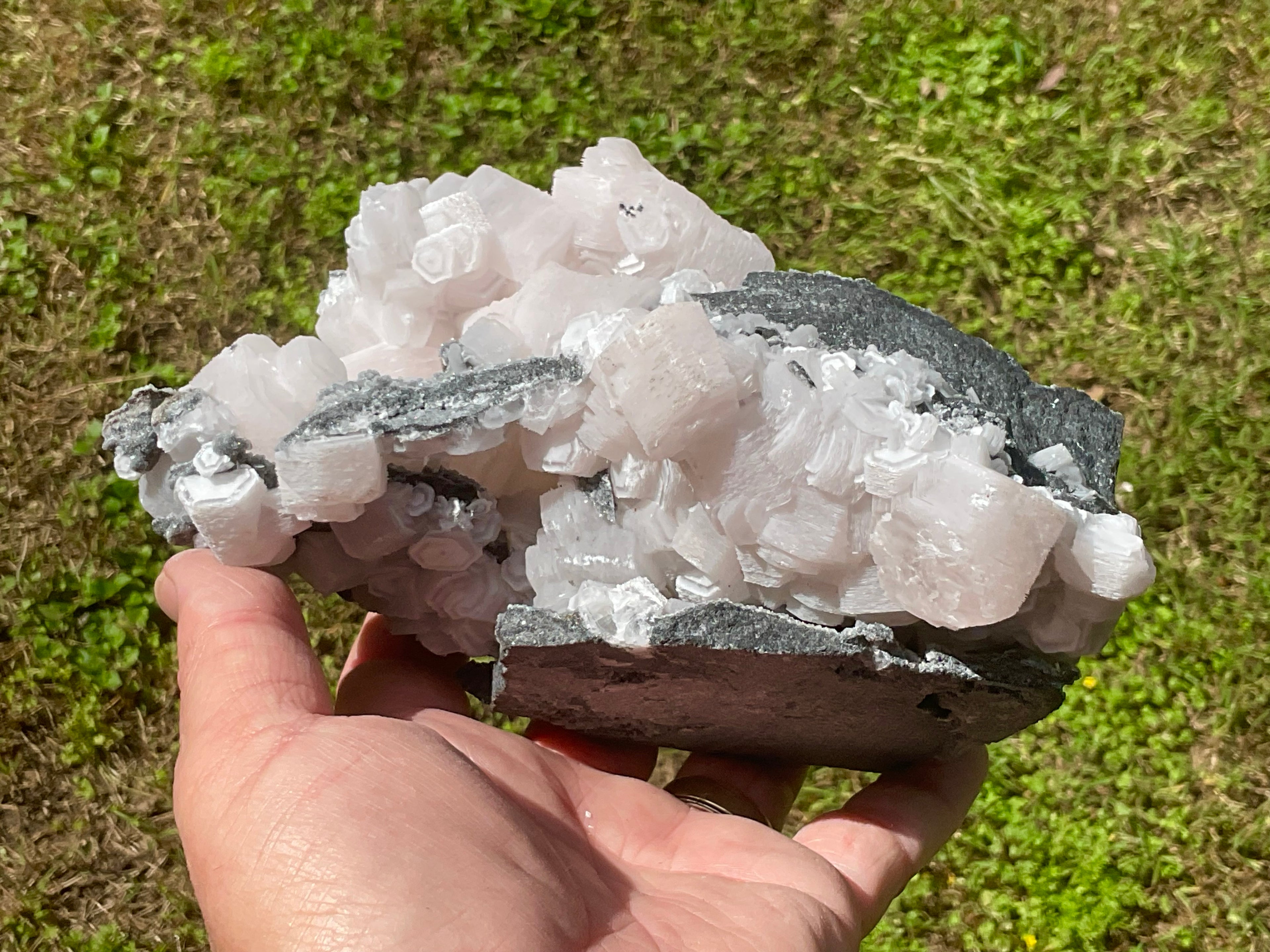 RESERVED FOR CHRISTIAN **1.433kg “Pink Coin” Calcite Specimen from Fujian, China