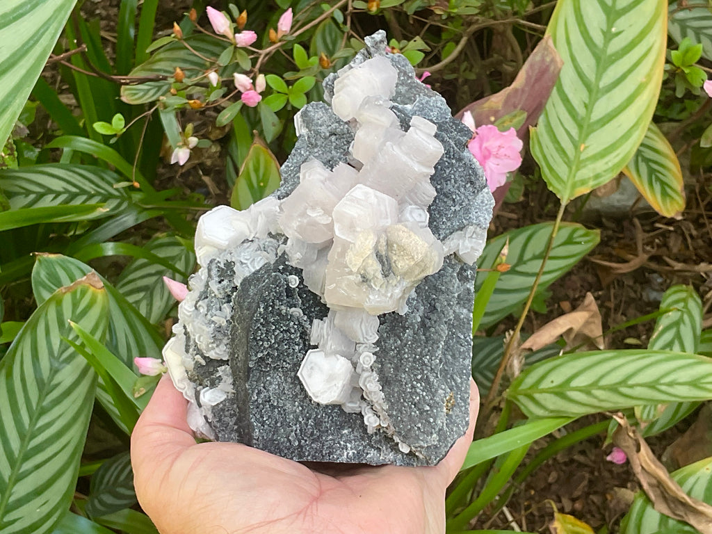 RESERVED FOR CHRISTIAN **1.433kg “Pink Coin” Calcite Specimen from Fujian, China
