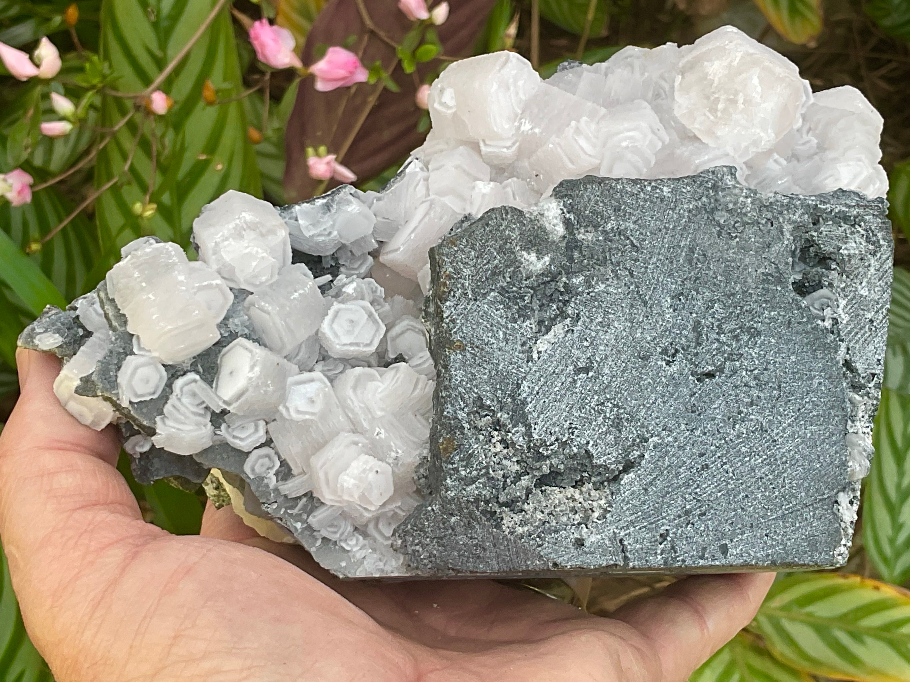 RESERVED FOR CHRISTIAN **1.433kg “Pink Coin” Calcite Specimen from Fujian, China
