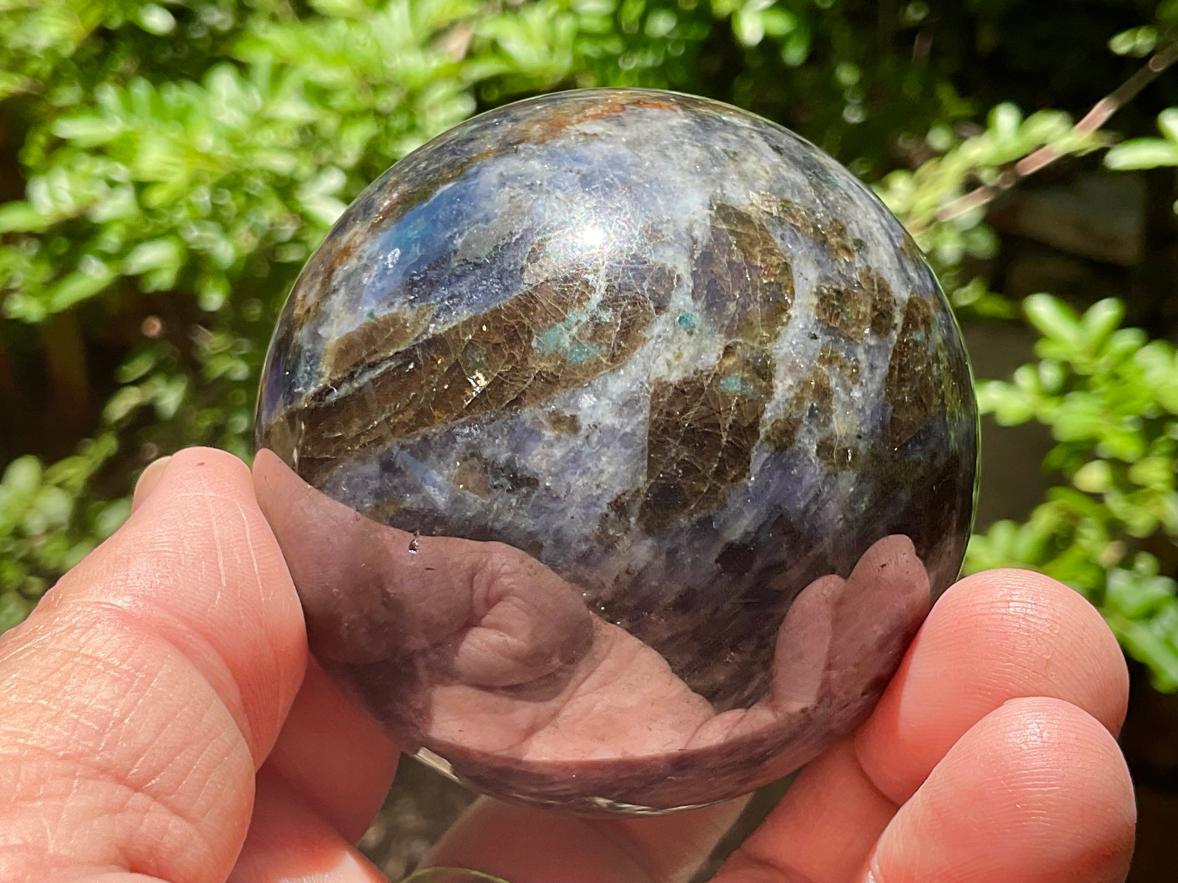 350g Iolote with Apatite Sphere 4A
