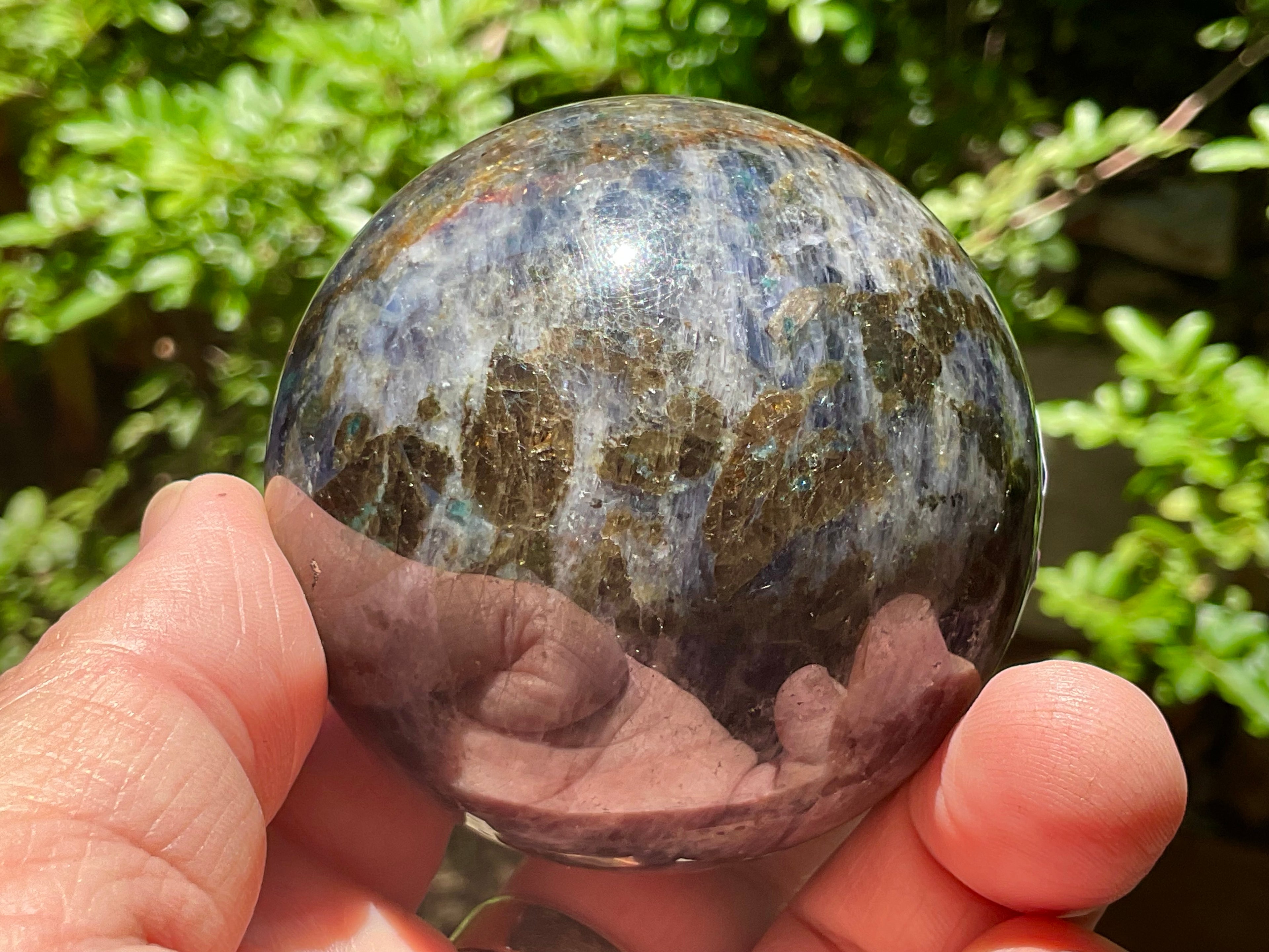350g Iolote with Apatite Sphere 4A