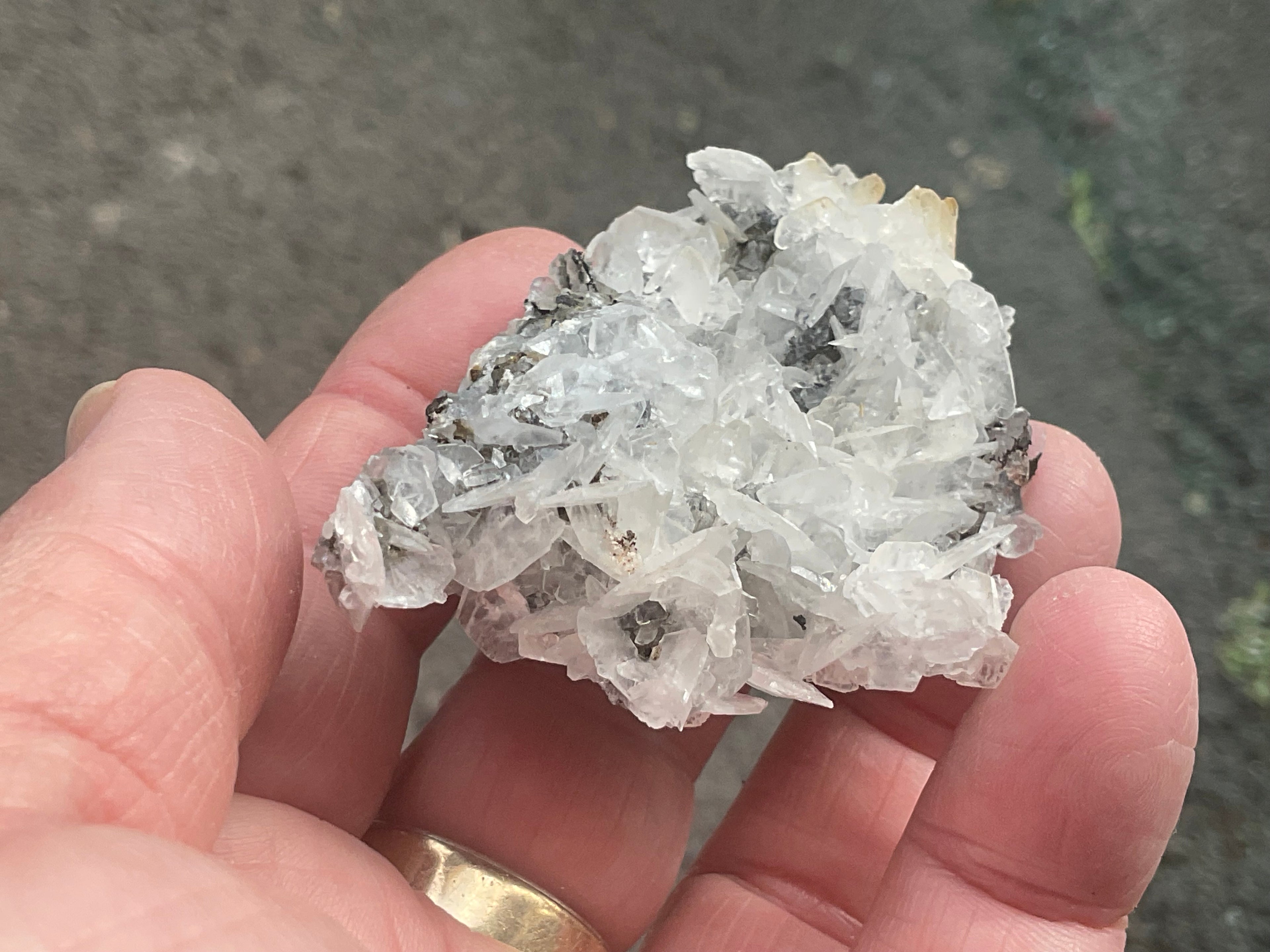 62g Glass Blade Calcite Specimen A