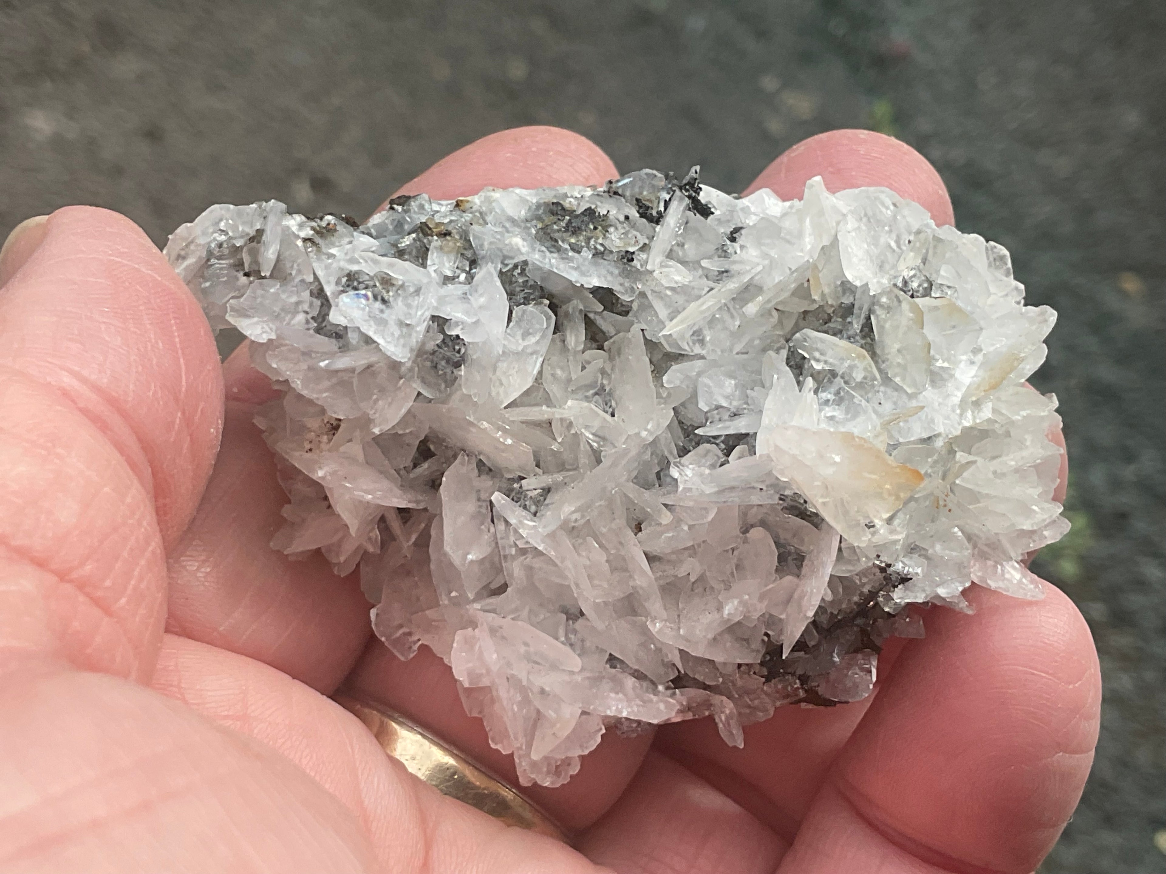 62g Glass Blade Calcite Specimen A