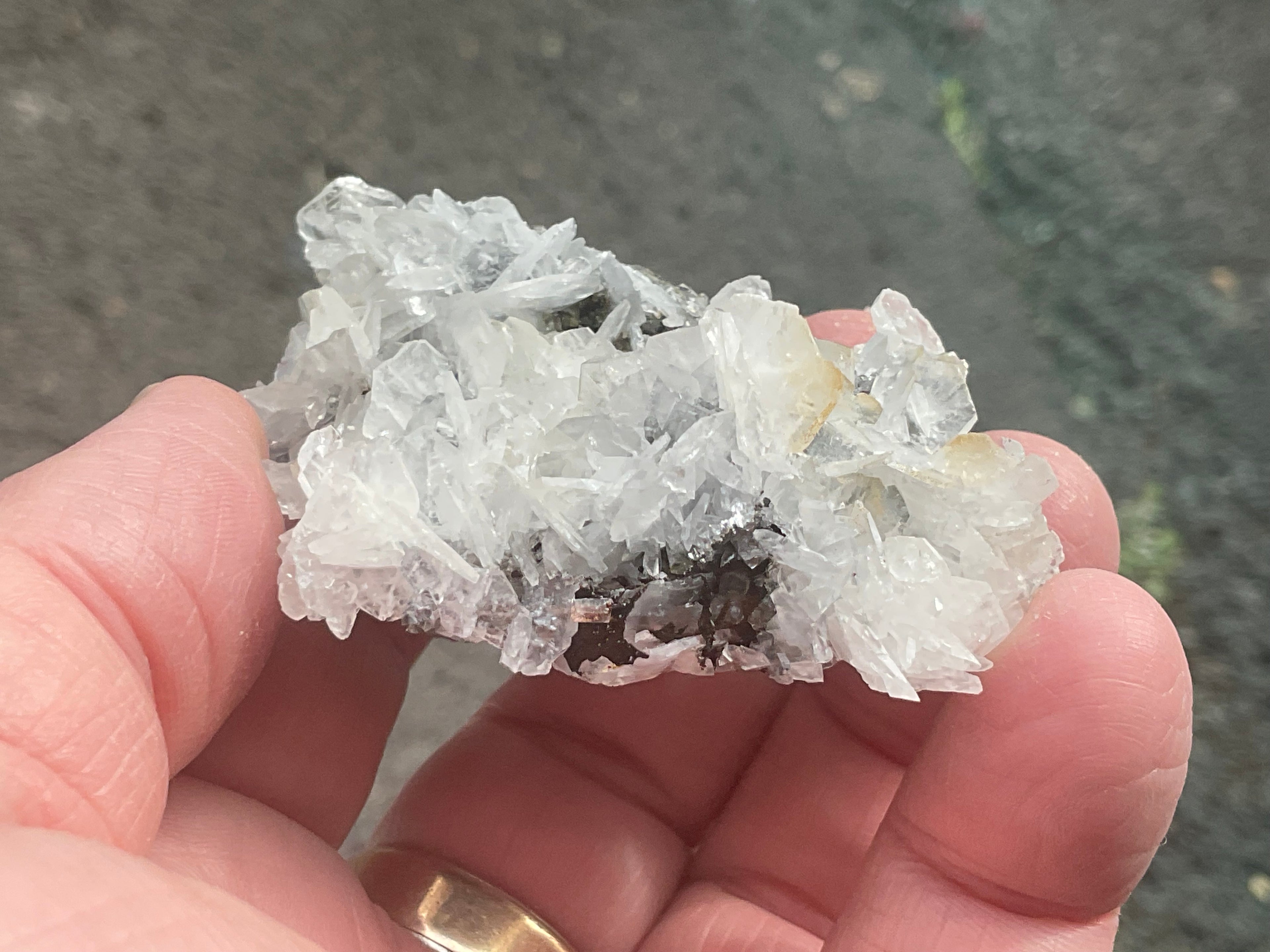 62g Glass Blade Calcite Specimen A