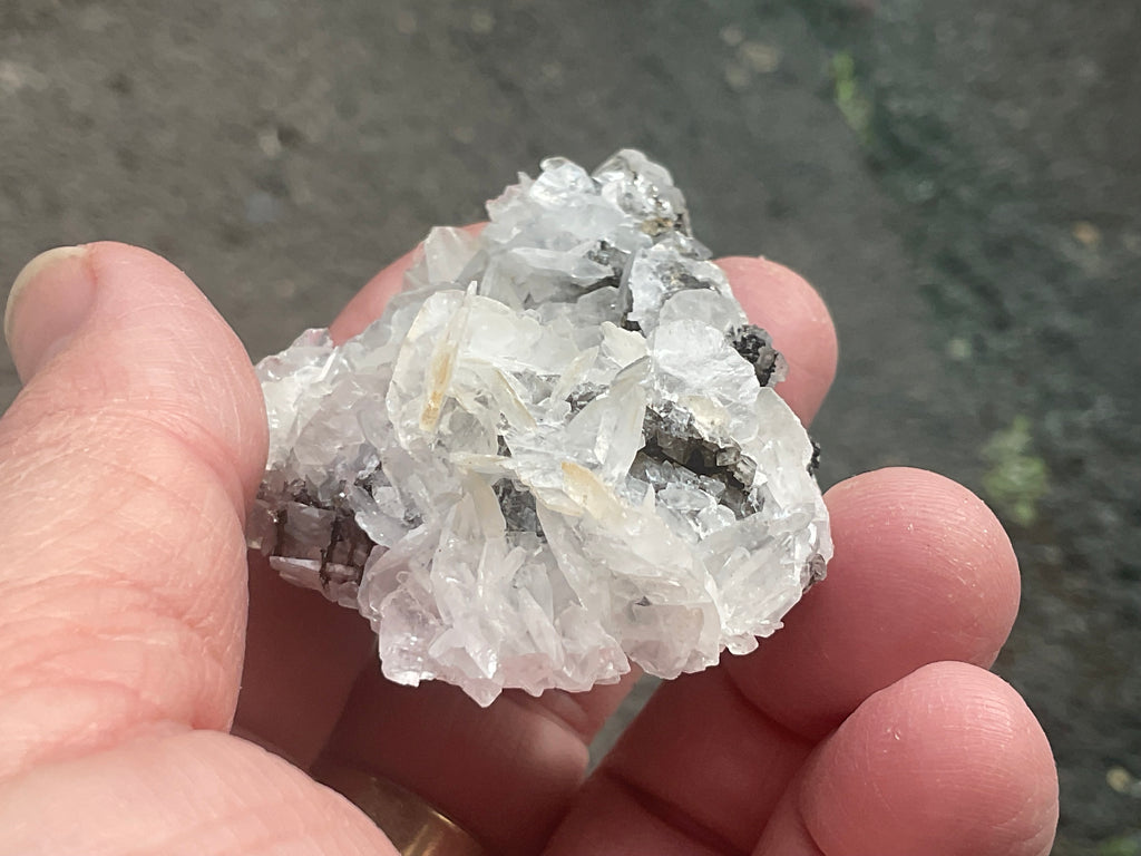 62g Glass Blade Calcite Specimen A