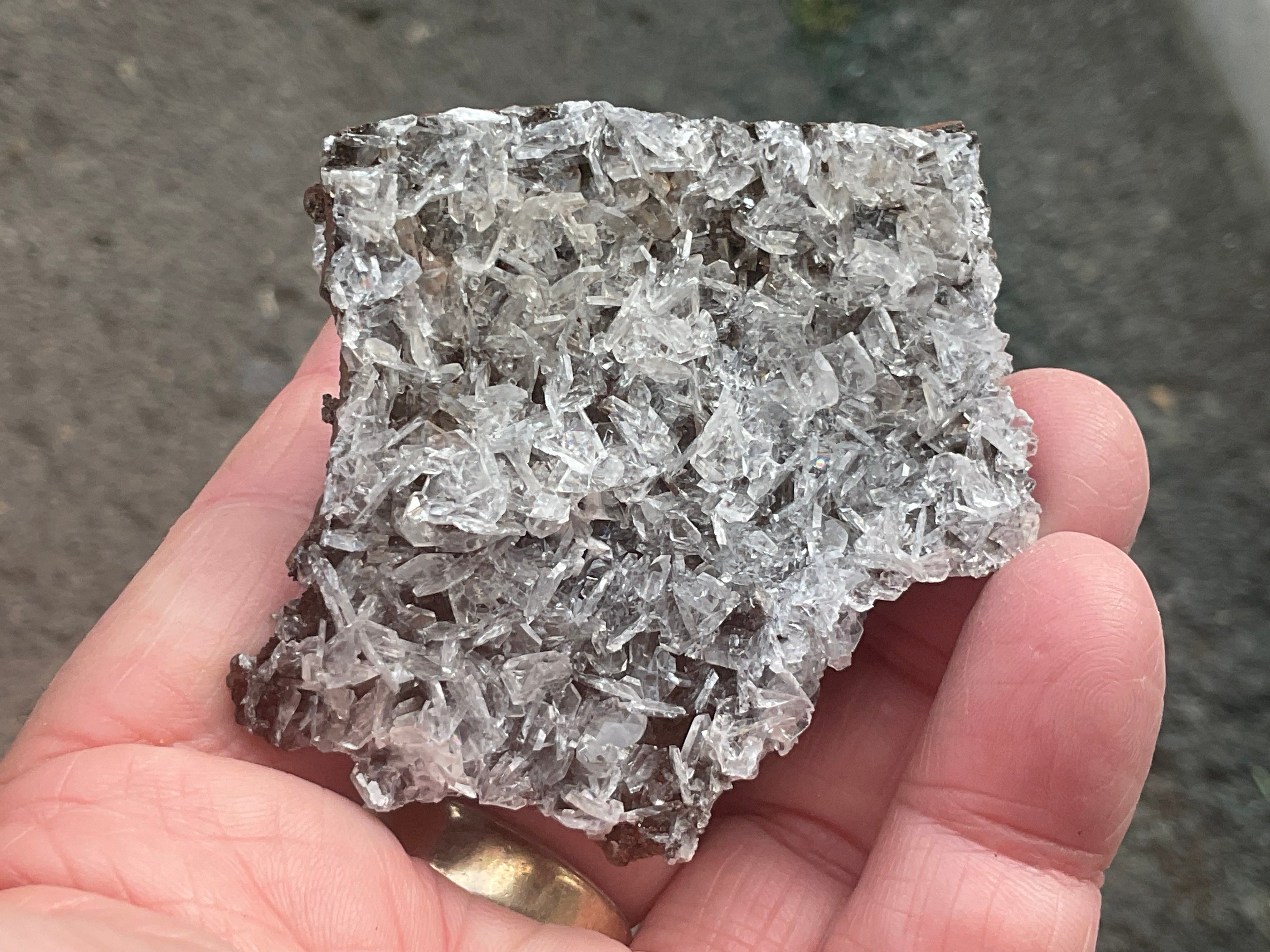 74g Glass Blade Calcite Specimen B
