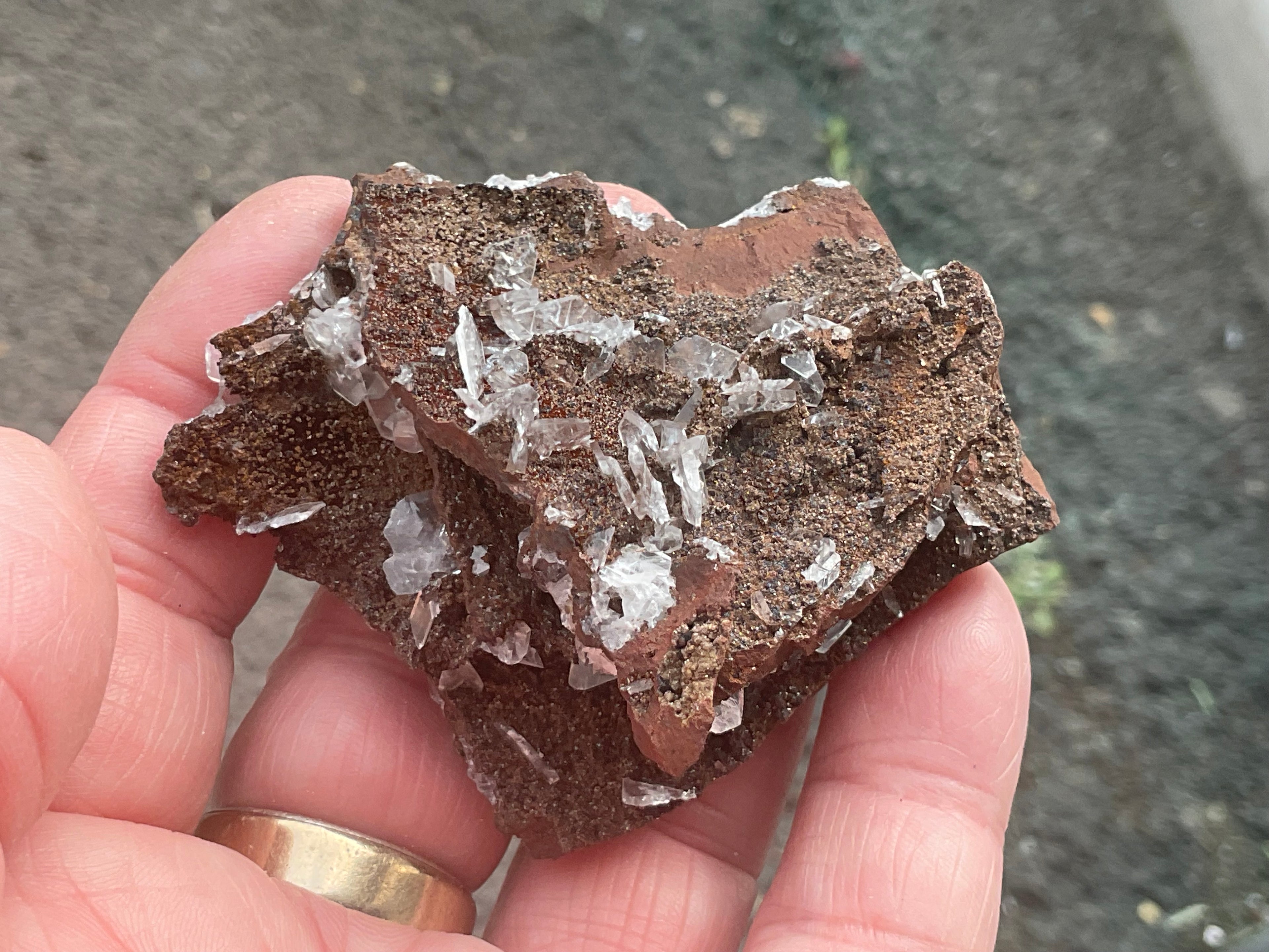 74g Glass Blade Calcite Specimen B