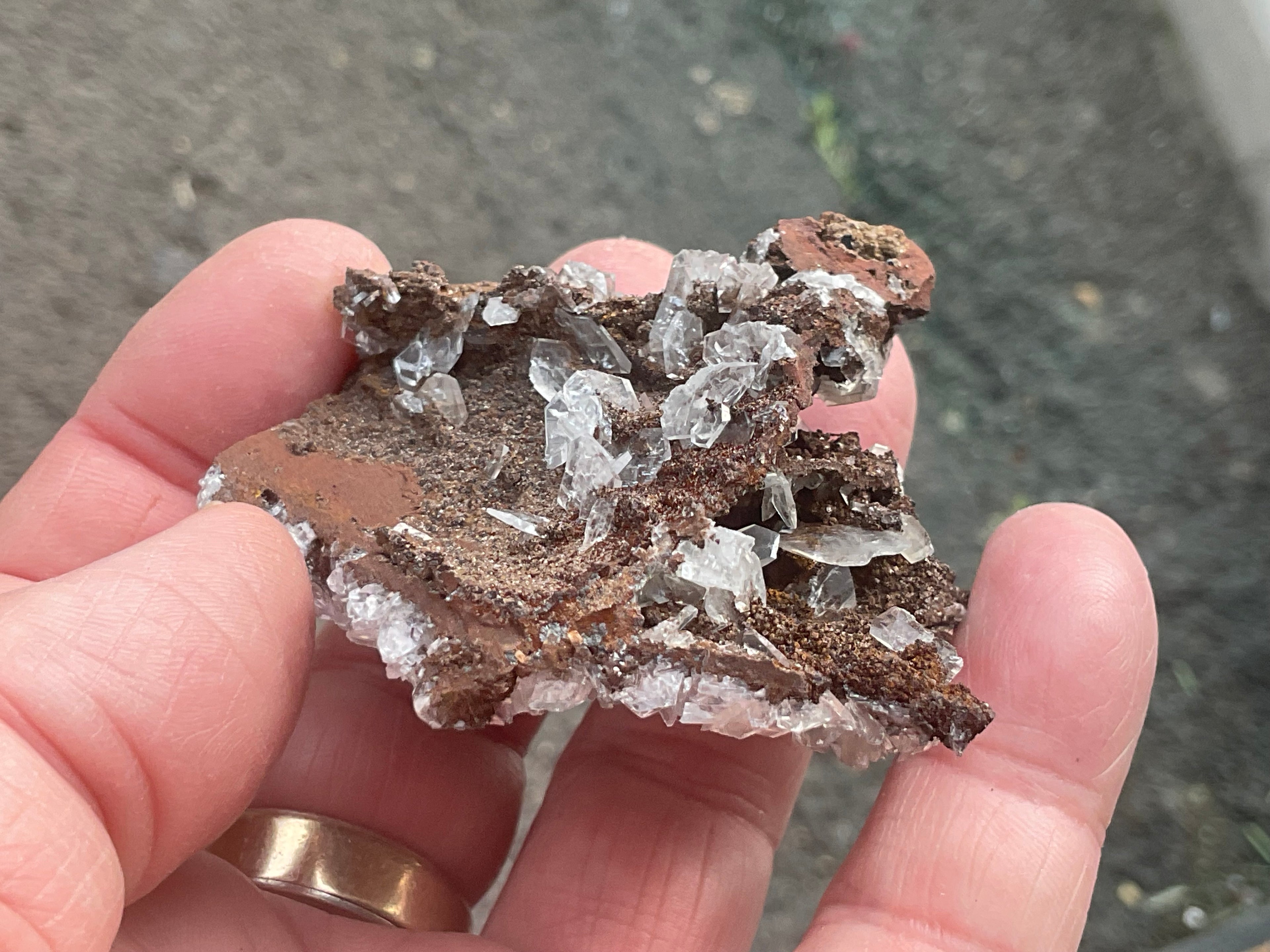 74g Glass Blade Calcite Specimen B