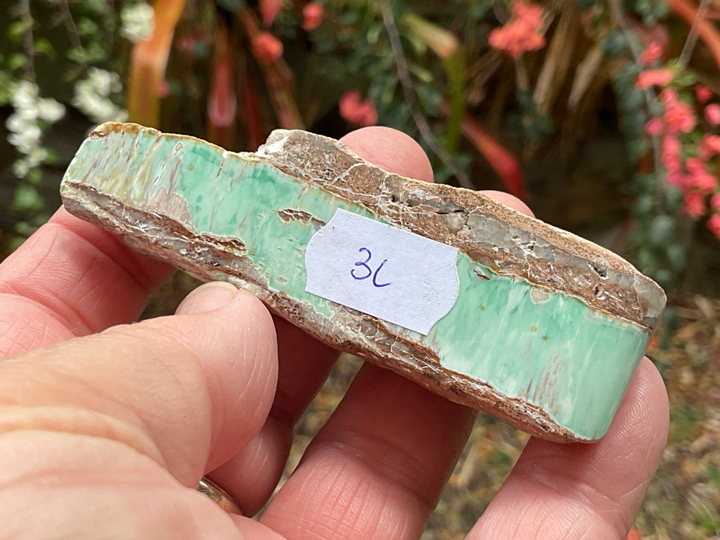 60g Western Australian Variscite Polished Piece 3C