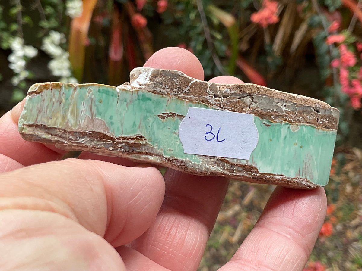 60g Western Australian Variscite Polished Piece 3C
