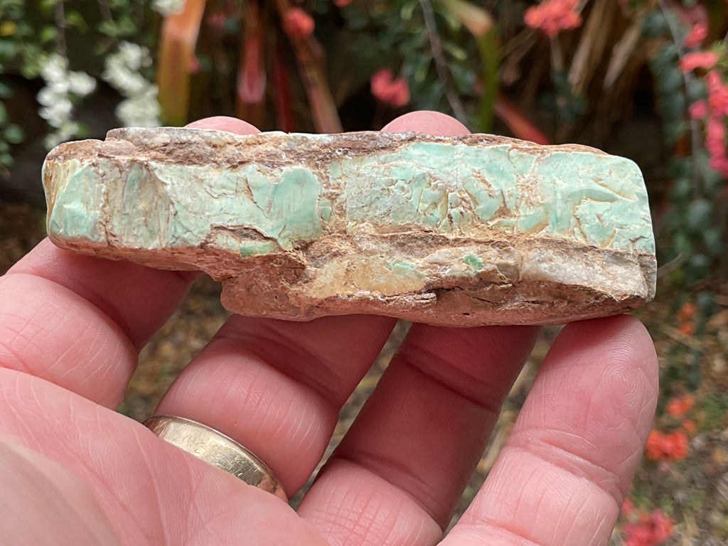 60g Western Australian Variscite Polished Piece 3C