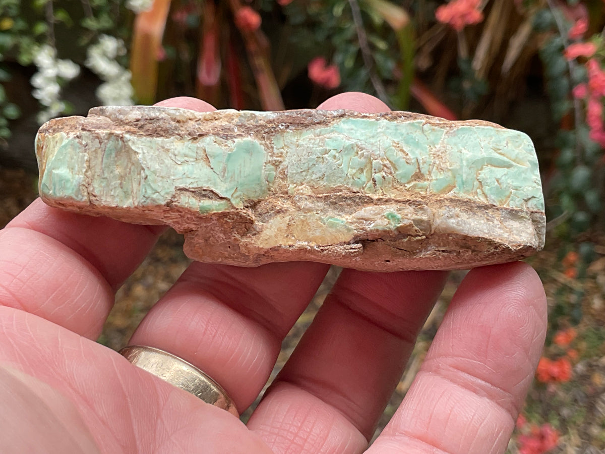 60g Western Australian Variscite Polished Piece 3C