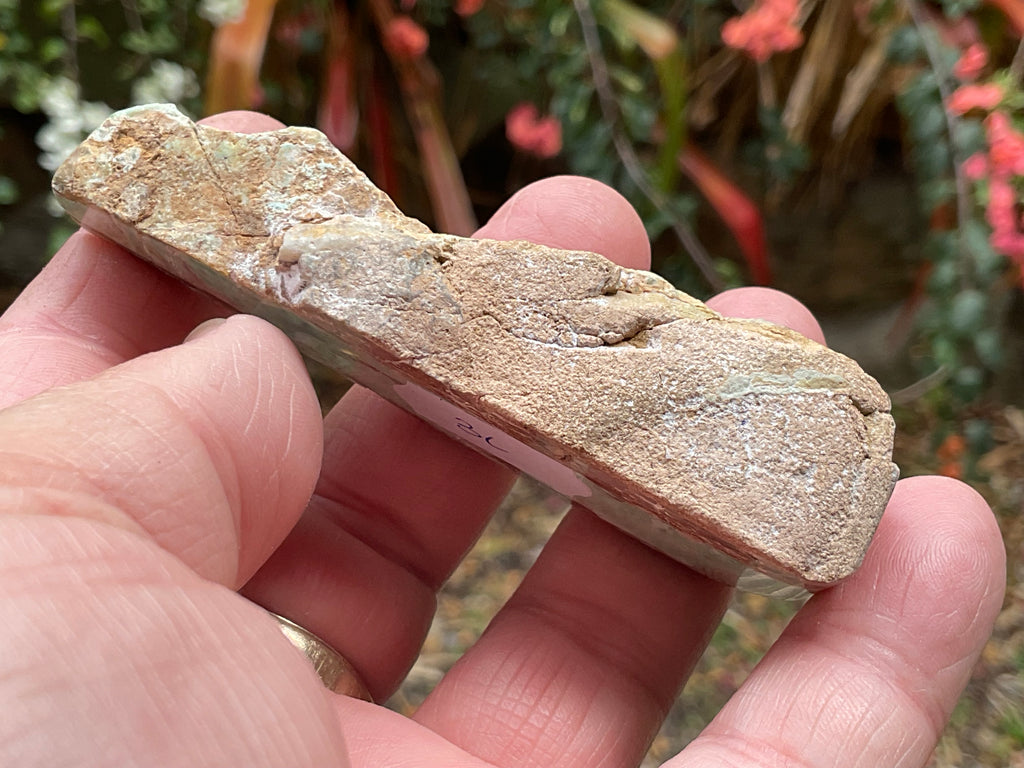60g Western Australian Variscite Polished Piece 3C